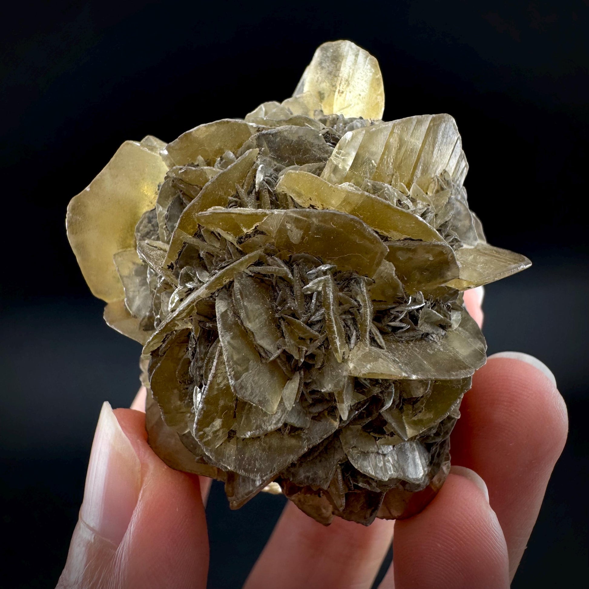 Golden Selenite Rosette | Phosphorescent UV Reactive Gypsum Crystal from Canada