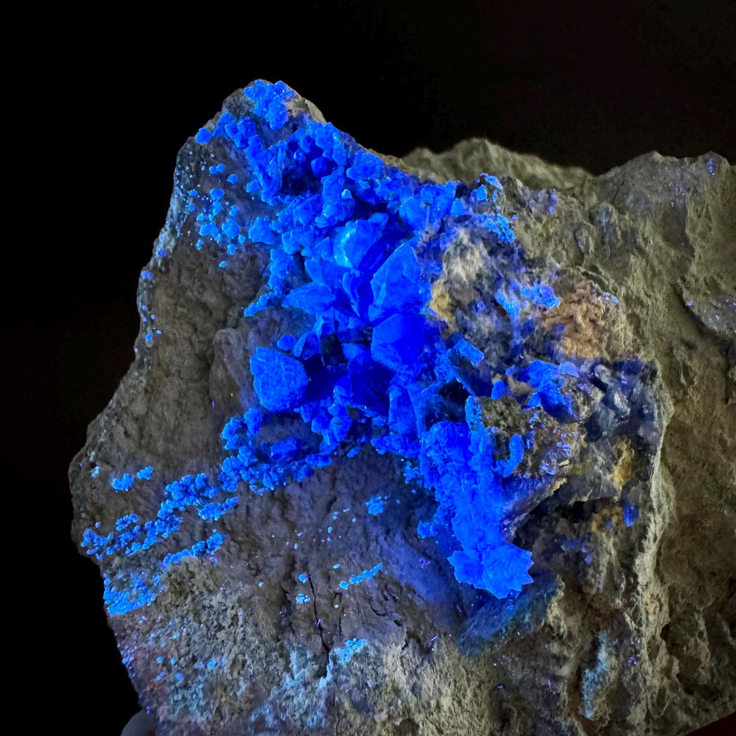Benitoite on Matrix (California, USA) | UV reactive benitoite crystal, rare mineral specimen