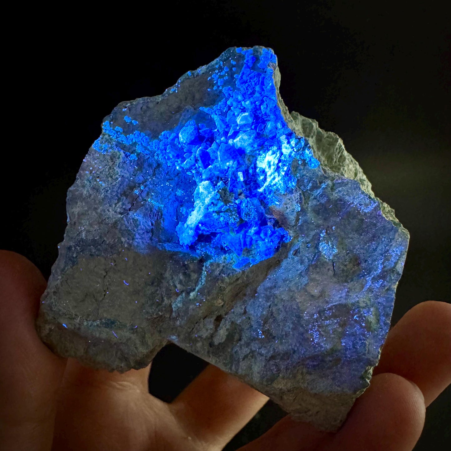 Benitoite on Matrix (California, USA) | UV reactive benitoite crystal, rare mineral specimen