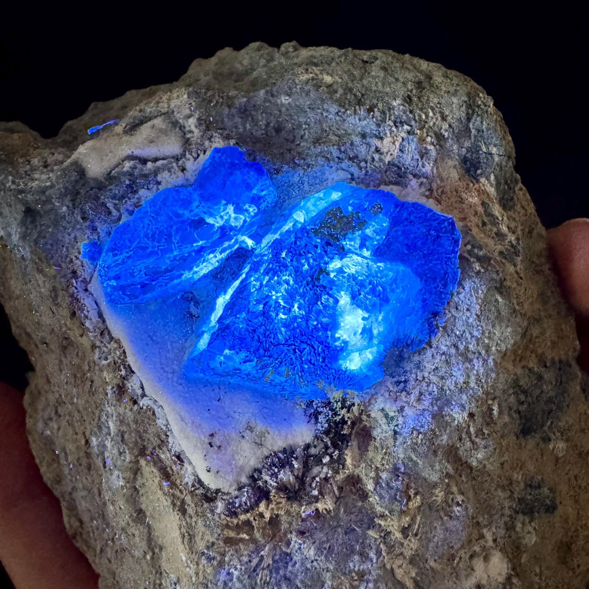 Benitoite with Joaquinite, Chalcopyrite, Serandite & Natrolite (California, USA) | UV reactive benitoite crystal, rare mineral specimen