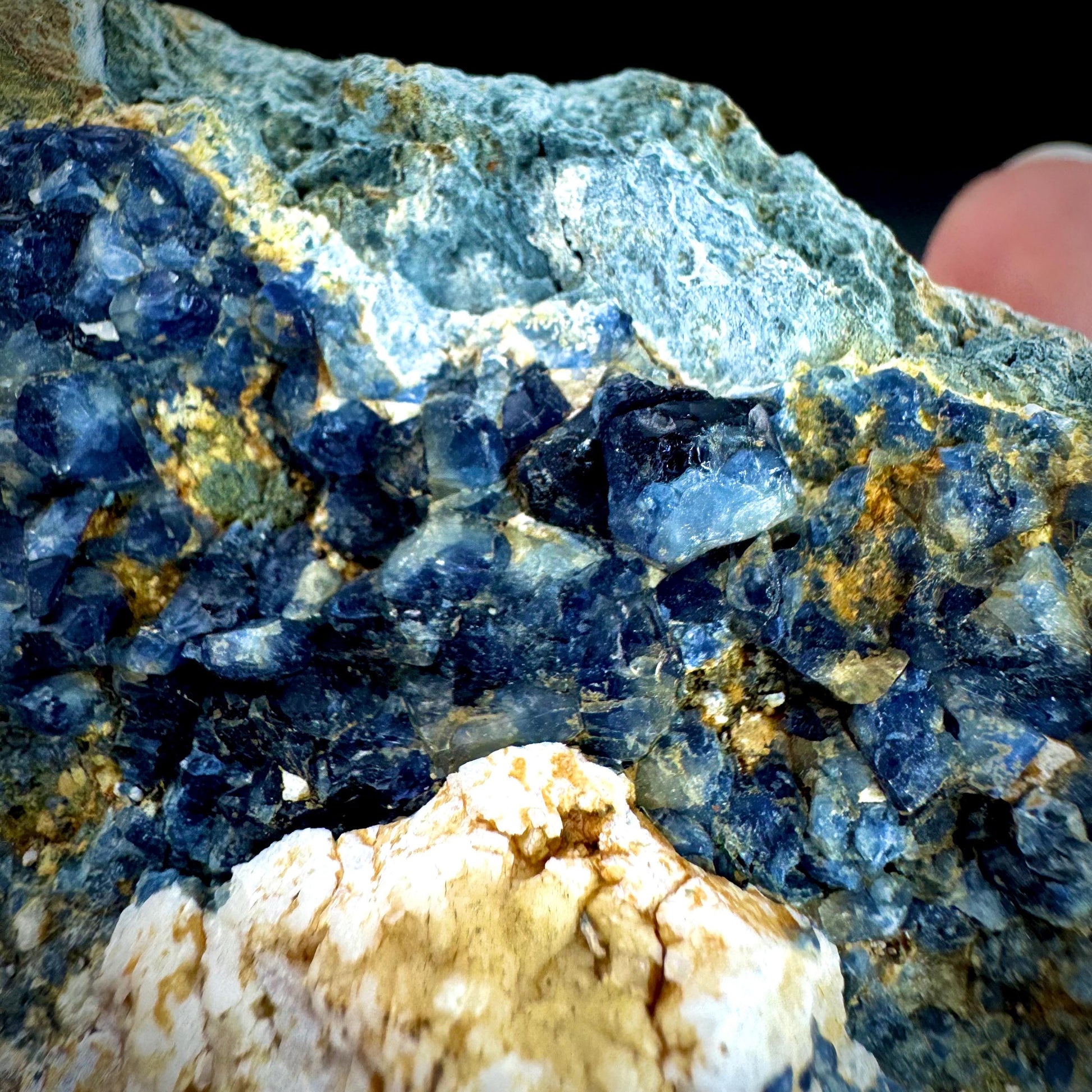 Benitoite with Neptunite on Natrolite (California, USA) | UV reactive benitoite crystal, rare mineral specimen