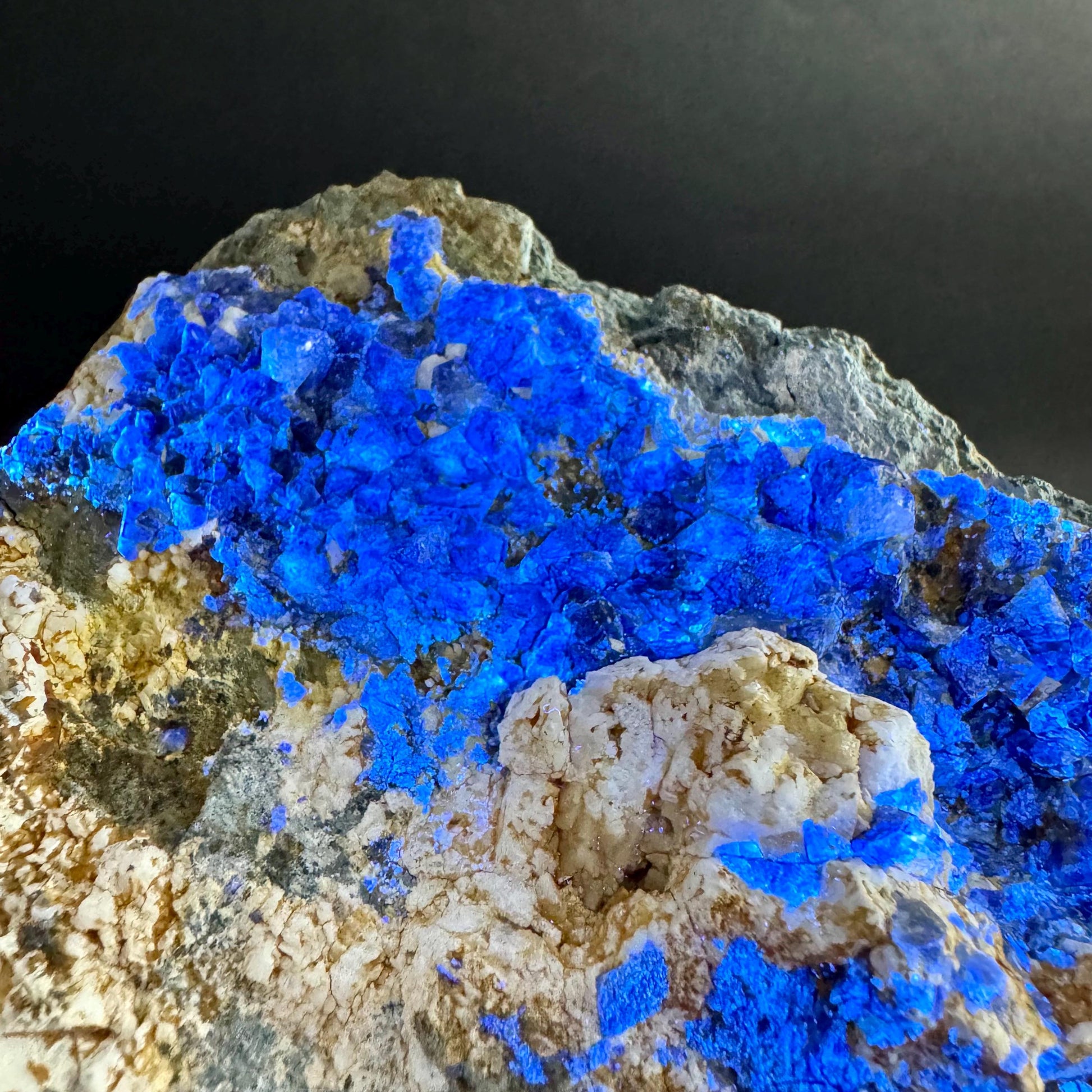 Benitoite with Neptunite on Natrolite (California, USA) | UV reactive benitoite crystal, rare mineral specimen