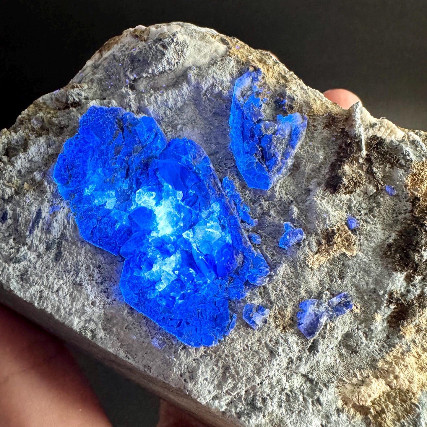 Benitoite with Joaquinite, Serandite & Neptunite (California, USA) | UV reactive benitoite crystal, rare mineral specimen