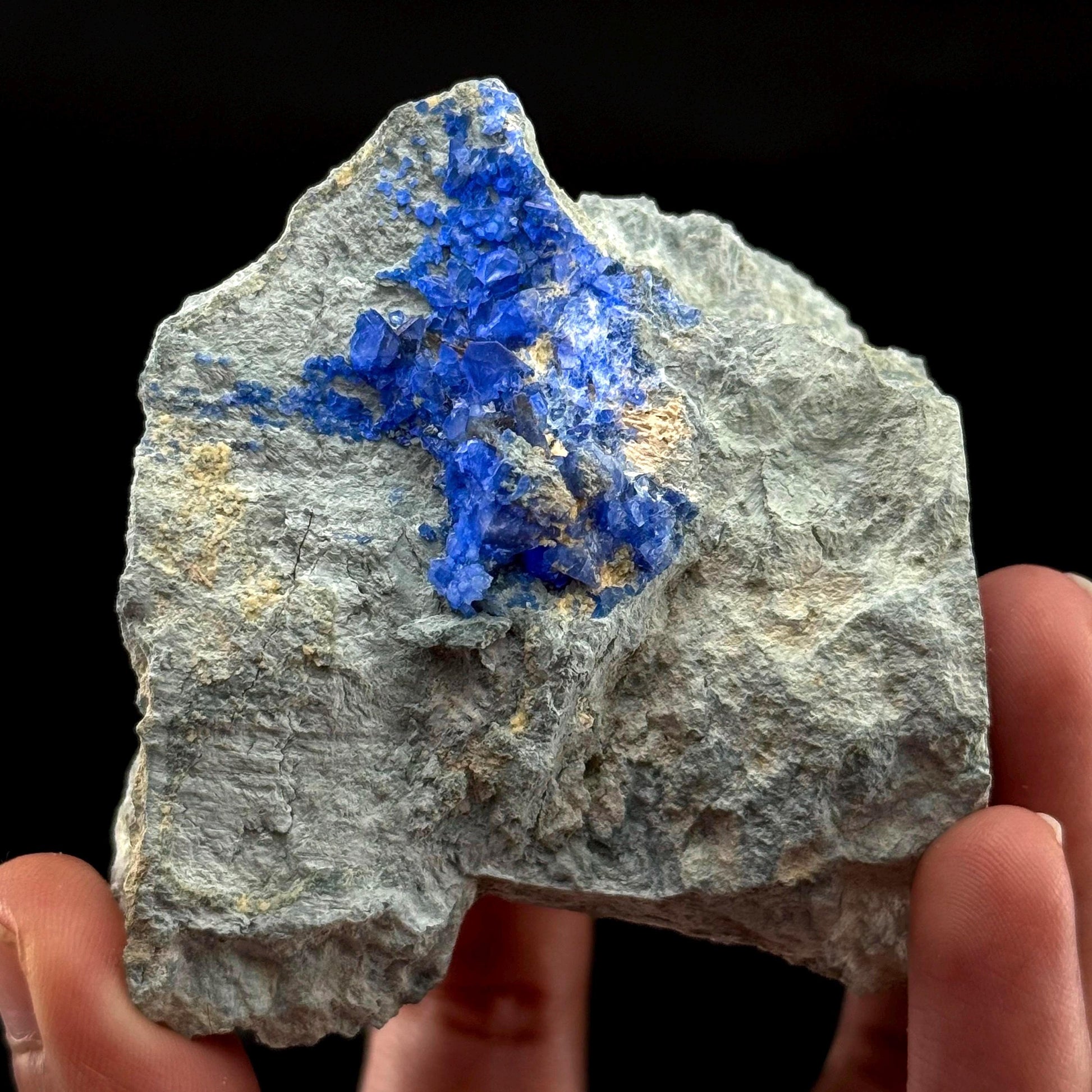 Benitoite on Matrix (California, USA) | UV reactive benitoite crystal, rare mineral specimen