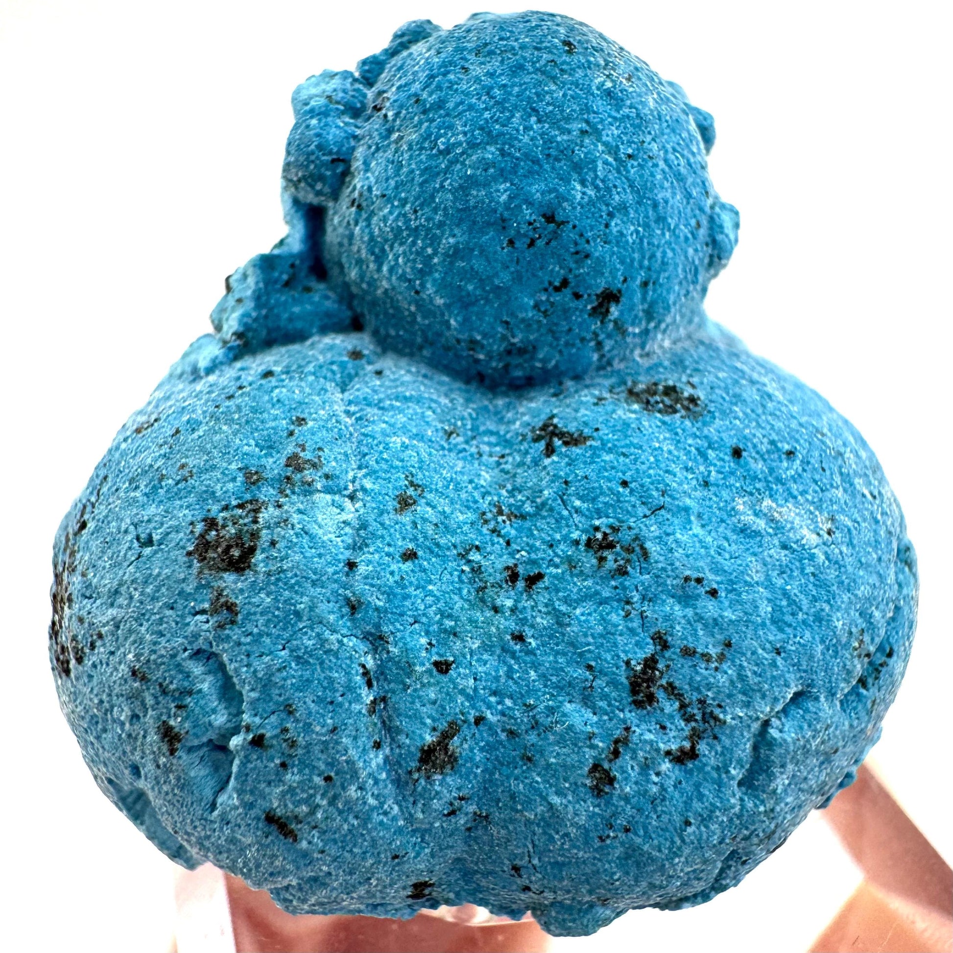 Shattuckite | Botryoidal Mineral Specimen from DR Congo