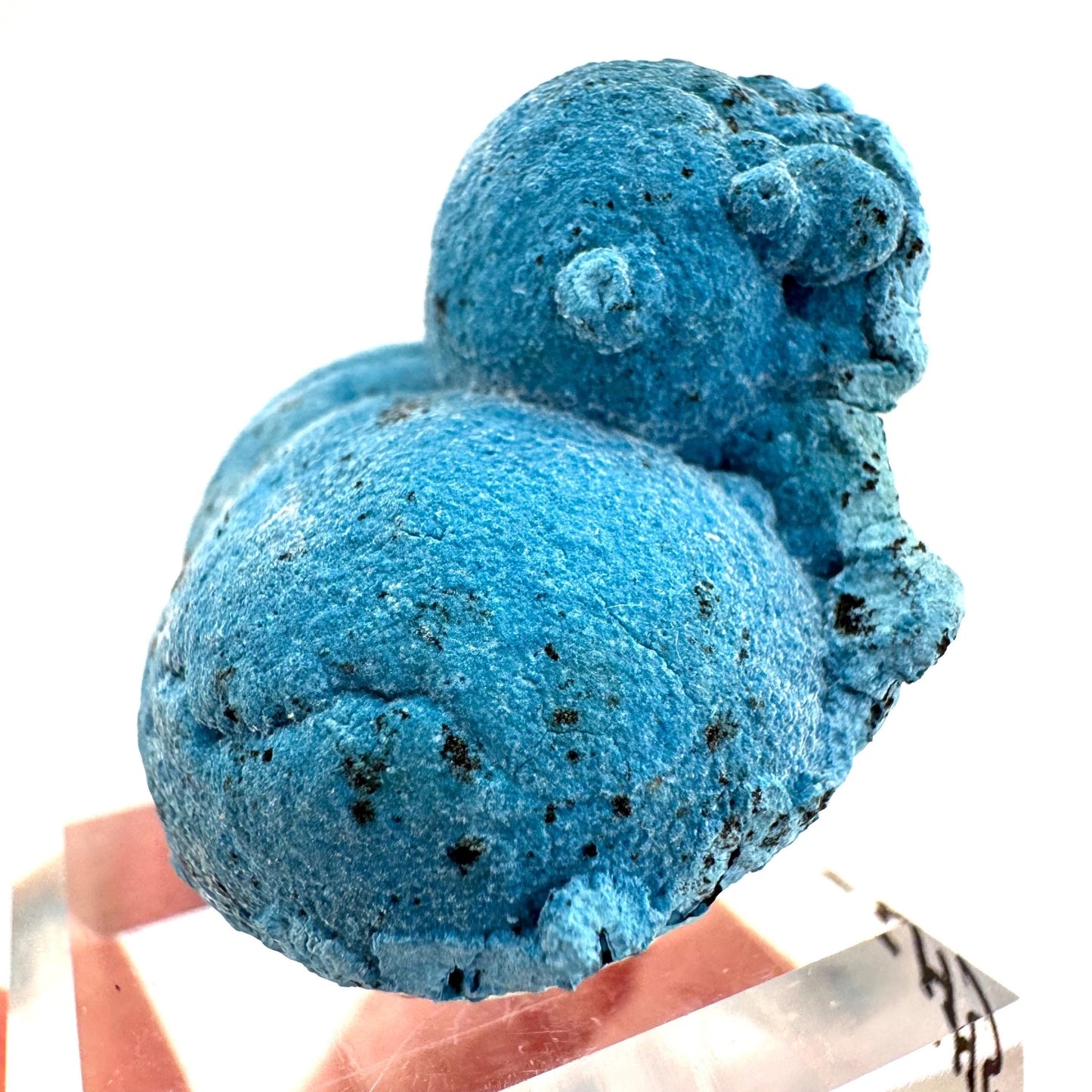 Shattuckite | Botryoidal Mineral Specimen from DR Congo