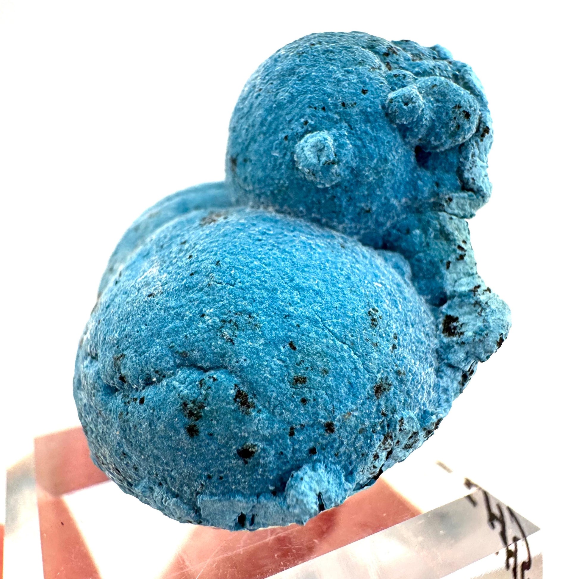 Shattuckite | Botryoidal Mineral Specimen from DR Congo