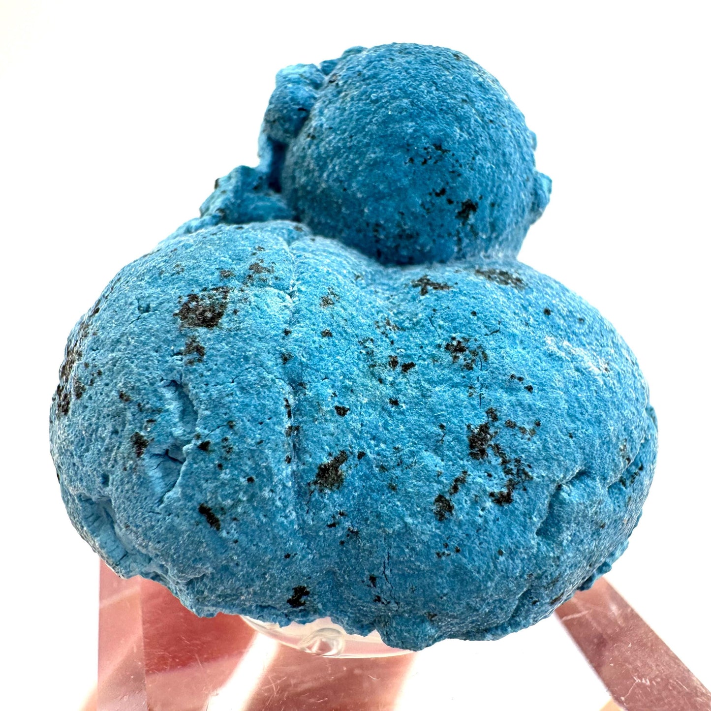 Shattuckite | Botryoidal Mineral Specimen from DR Congo