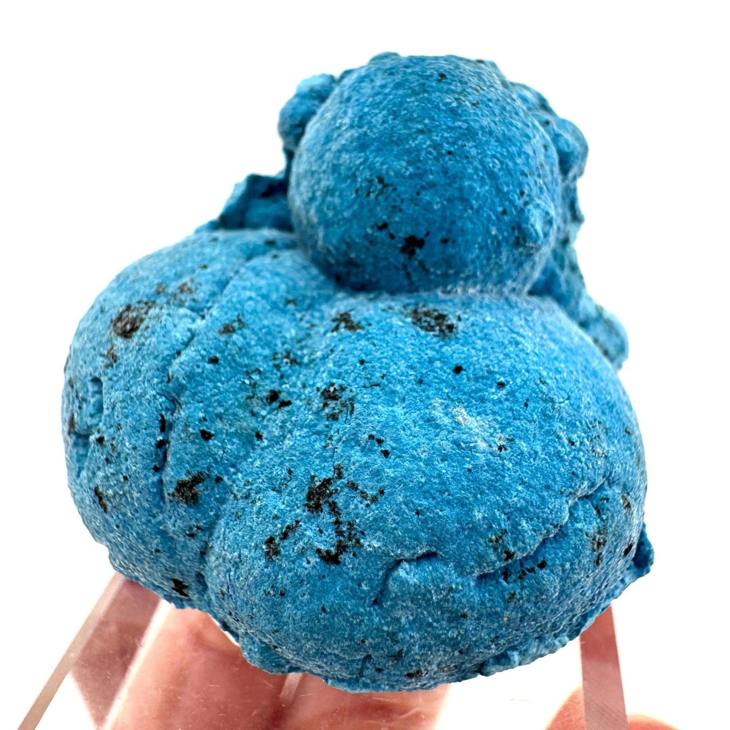 Shattuckite | Botryoidal Mineral Specimen from DR Congo