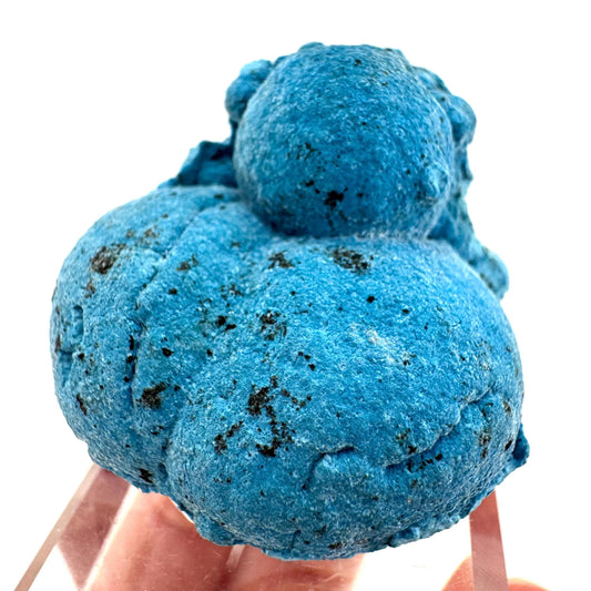 Shattuckite | Botryoidal Mineral Specimen from DR Congo