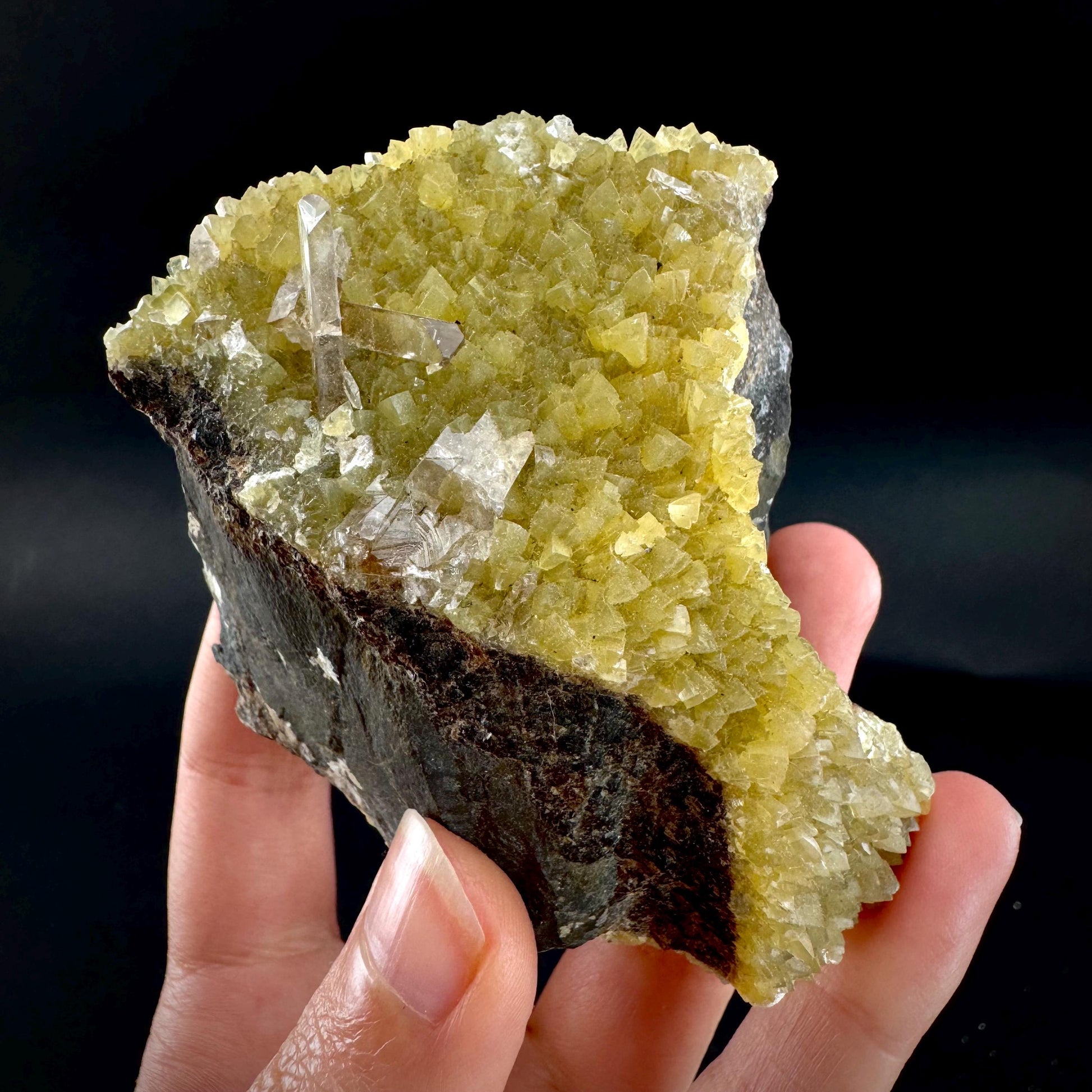 Barite on Yellow Calcite (Montana, USA) | UV reactive crystal cluster, mineral specimen