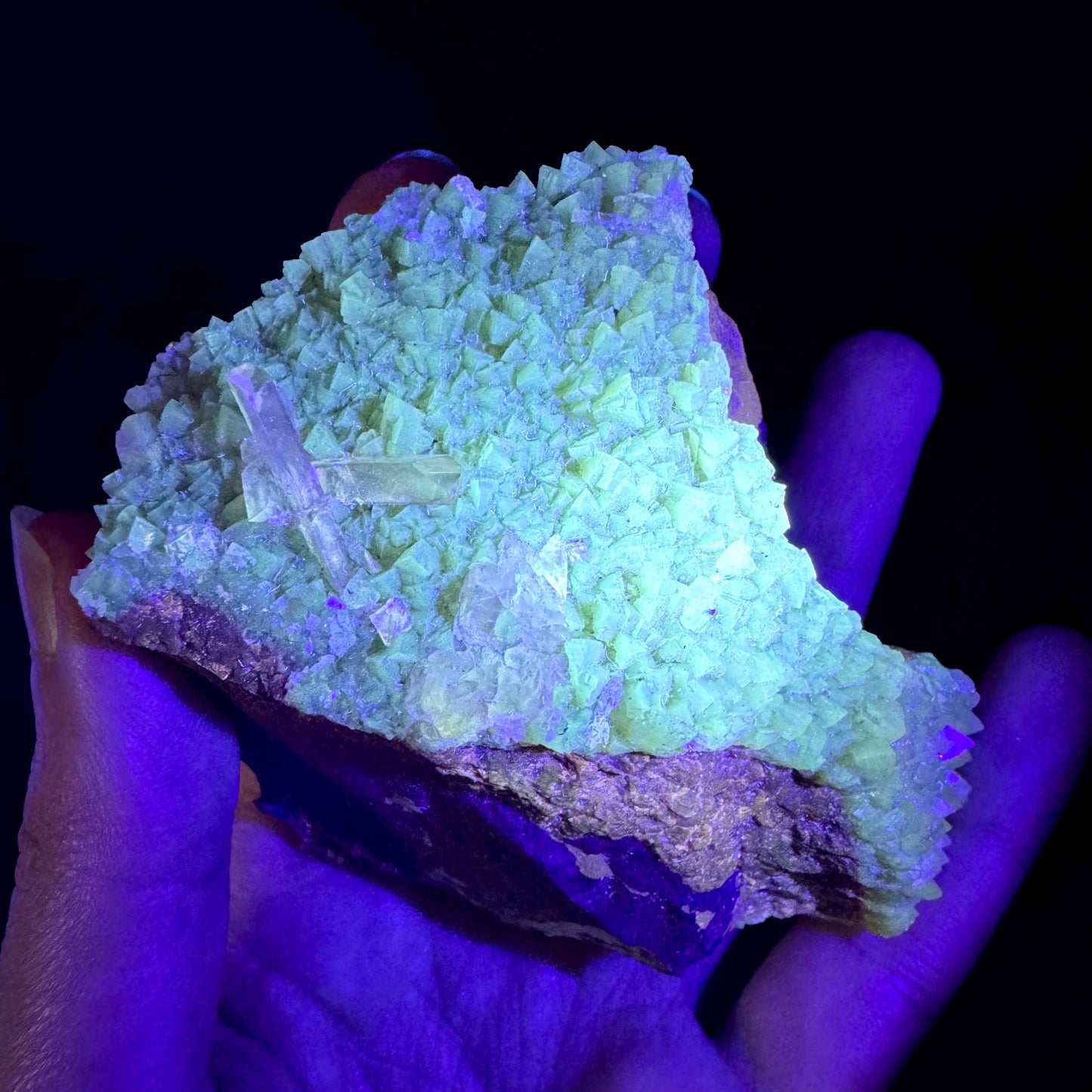 Barite on Yellow Calcite (Montana, USA) | UV reactive crystal cluster, mineral specimen
