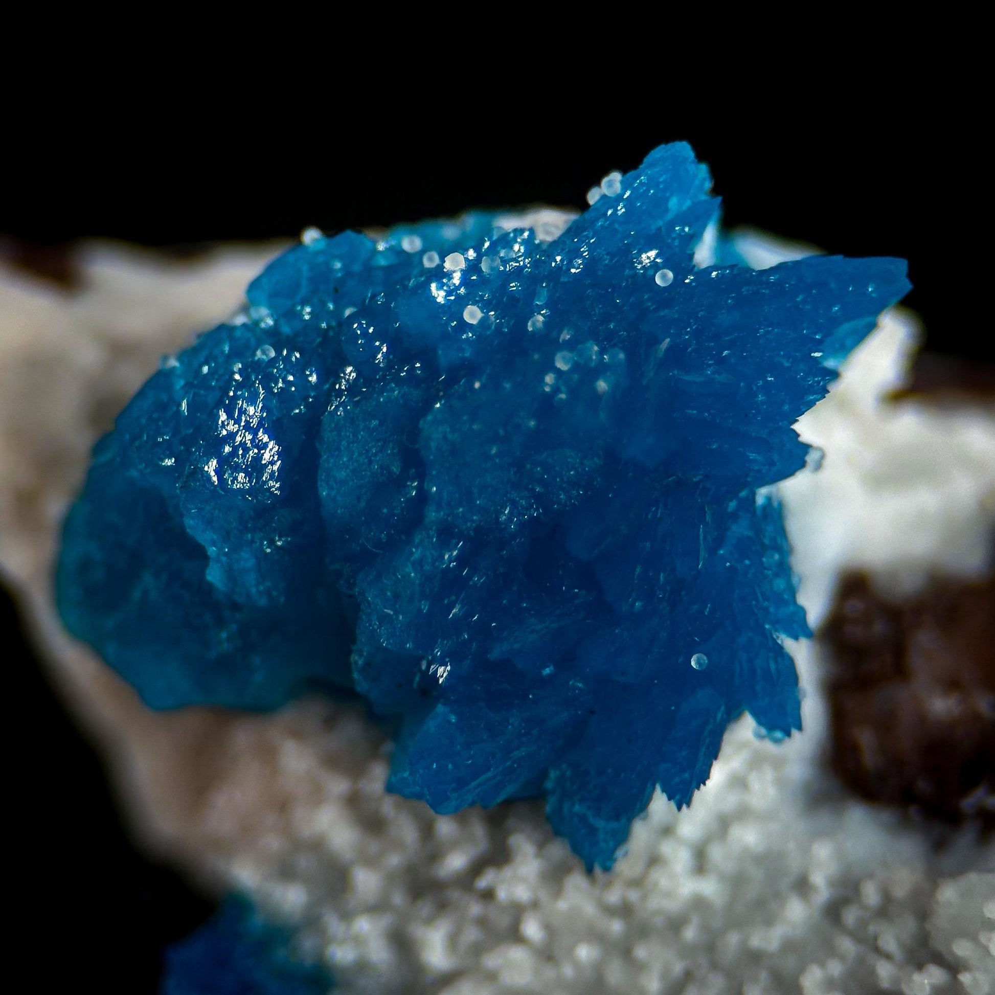 Deep Blue Cavansite on Matrix | crystal cluster, mineral specimen