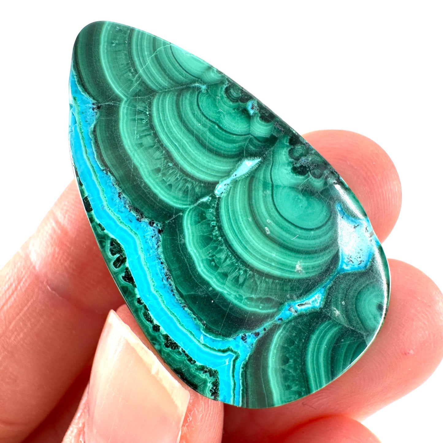Malachite Chrysocolla Cabochon | Green and Blue Malacolla Gemstone