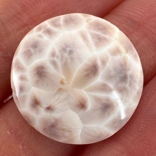 Pink Natrolite Gemstone Cabochon
