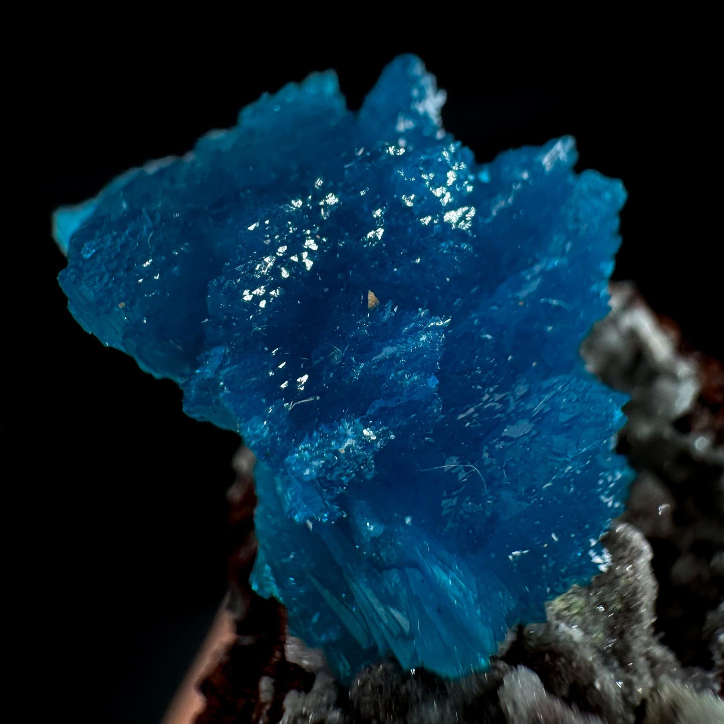 Deep Blue Cavansite on Matrix | crystal cluster, mineral specimen