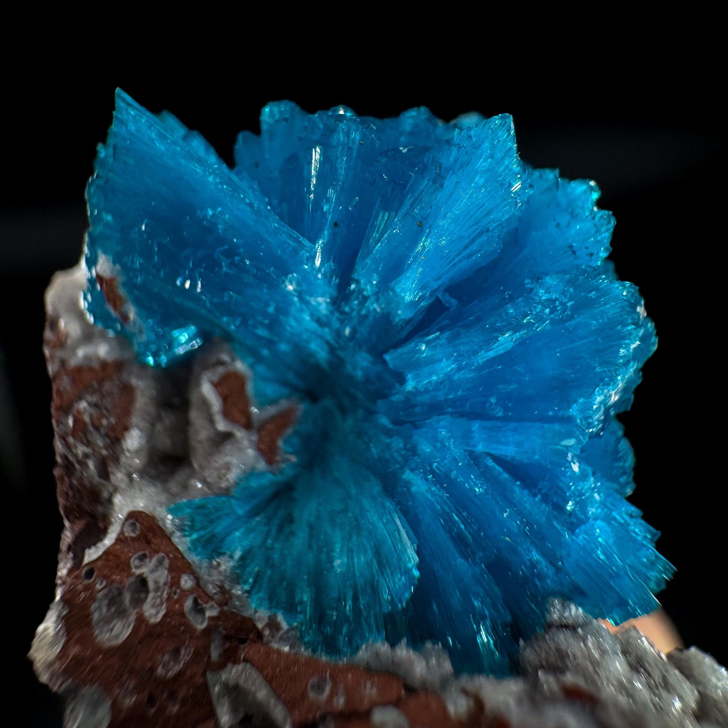 Deep Blue Cavansite on Matrix | crystal cluster, mineral specimen