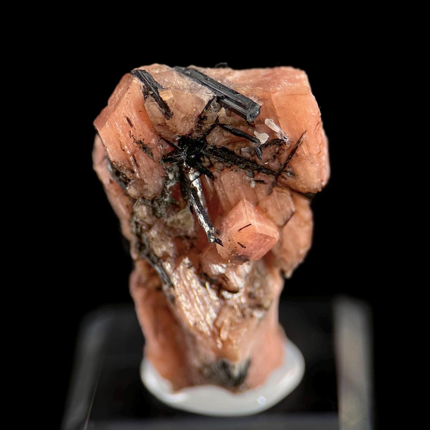 Serandite with Aegirine & Fluorite (Canada) | orange crystal, rare mineral specimen