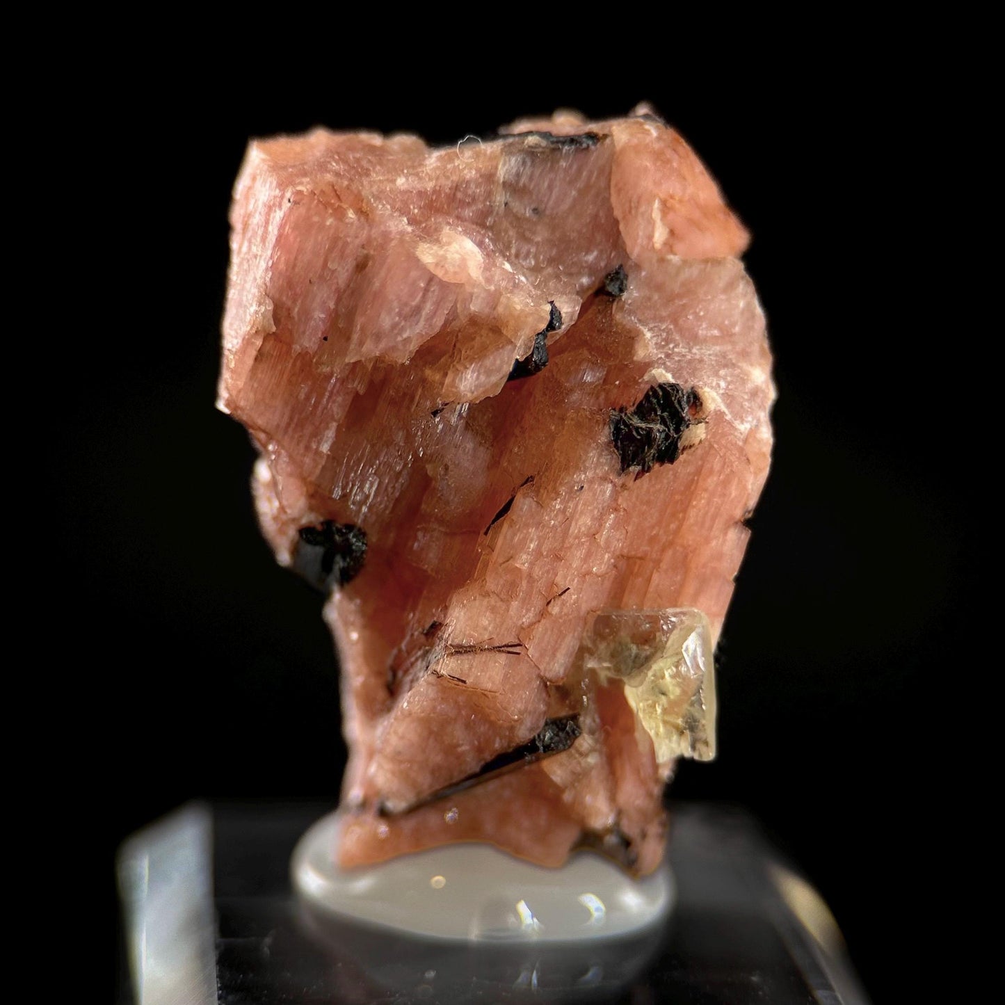 Serandite with Aegirine & Fluorite (Canada) | orange crystal, rare mineral specimen