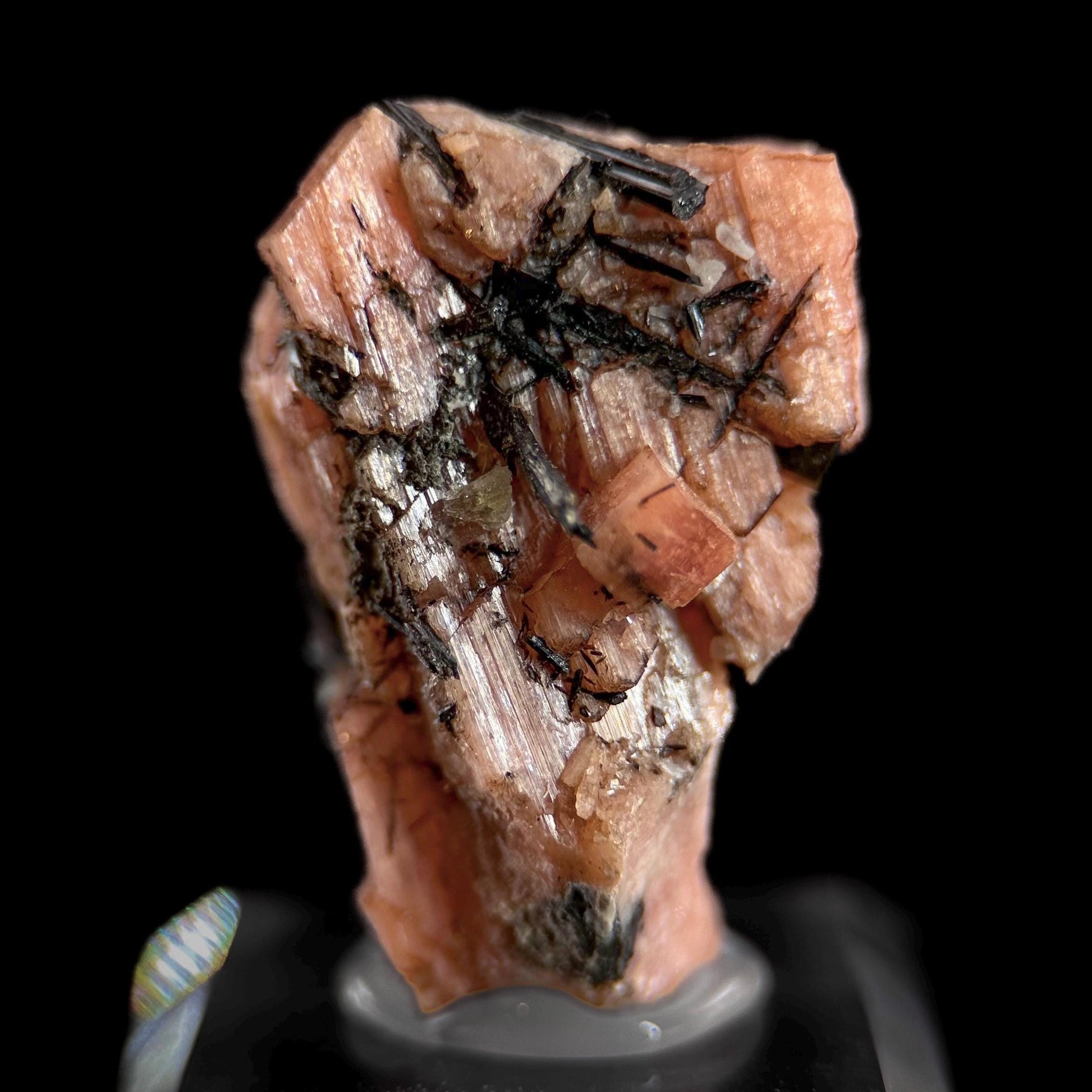 Serandite with Aegirine & Fluorite (Canada) | orange crystal, rare mineral specimen