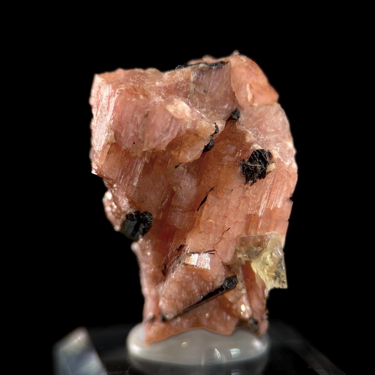 Serandite with Aegirine & Fluorite (Canada) | orange crystal, rare mineral specimen