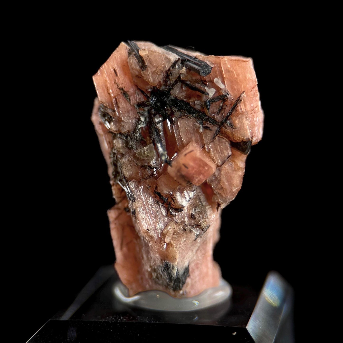 Serandite with Aegirine & Fluorite (Canada) | orange crystal, rare mineral specimen