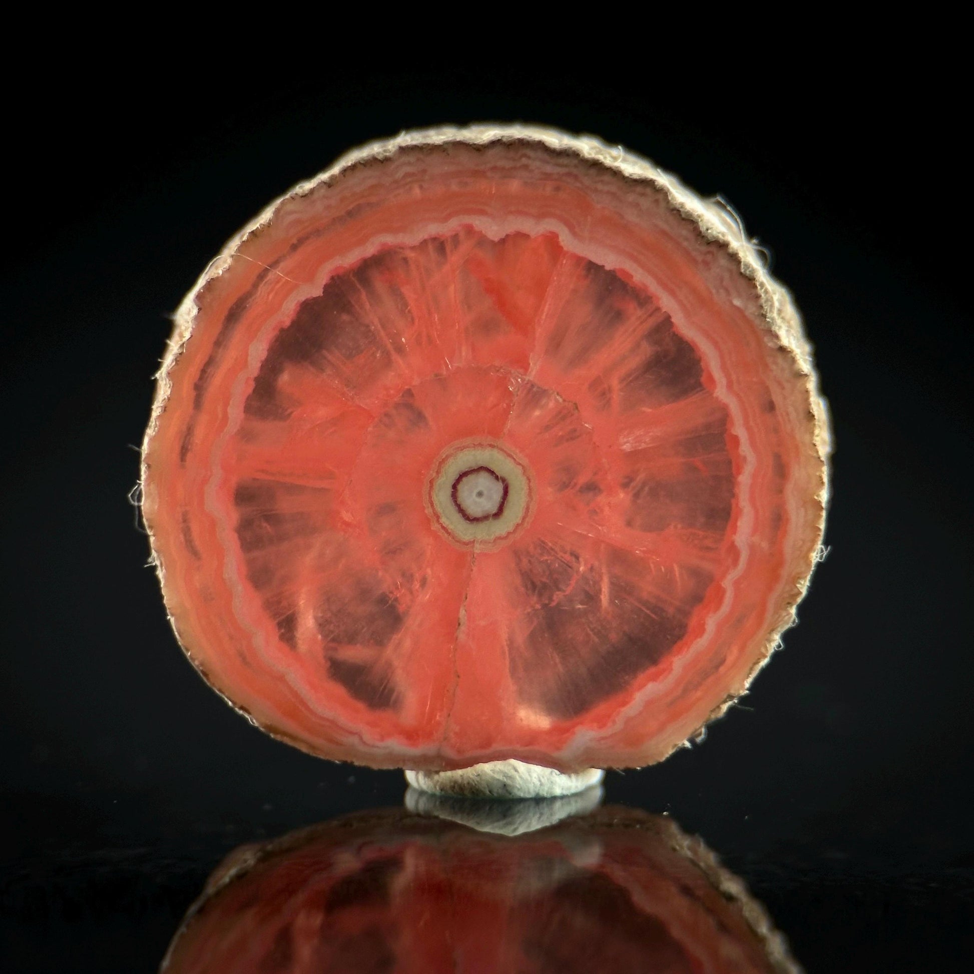 Rhodochrosite Slice | natural rhodochrosite crystal, rare mineral specimen from Argentina