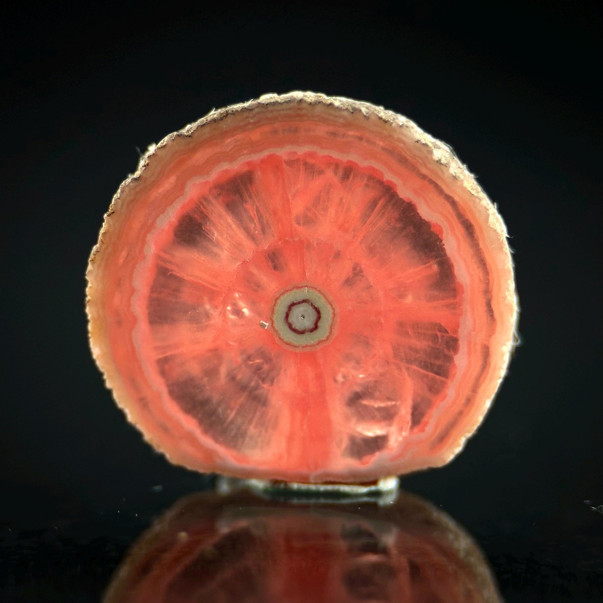 Rhodochrosite Slice | natural rhodochrosite crystal, rare mineral specimen from Argentina