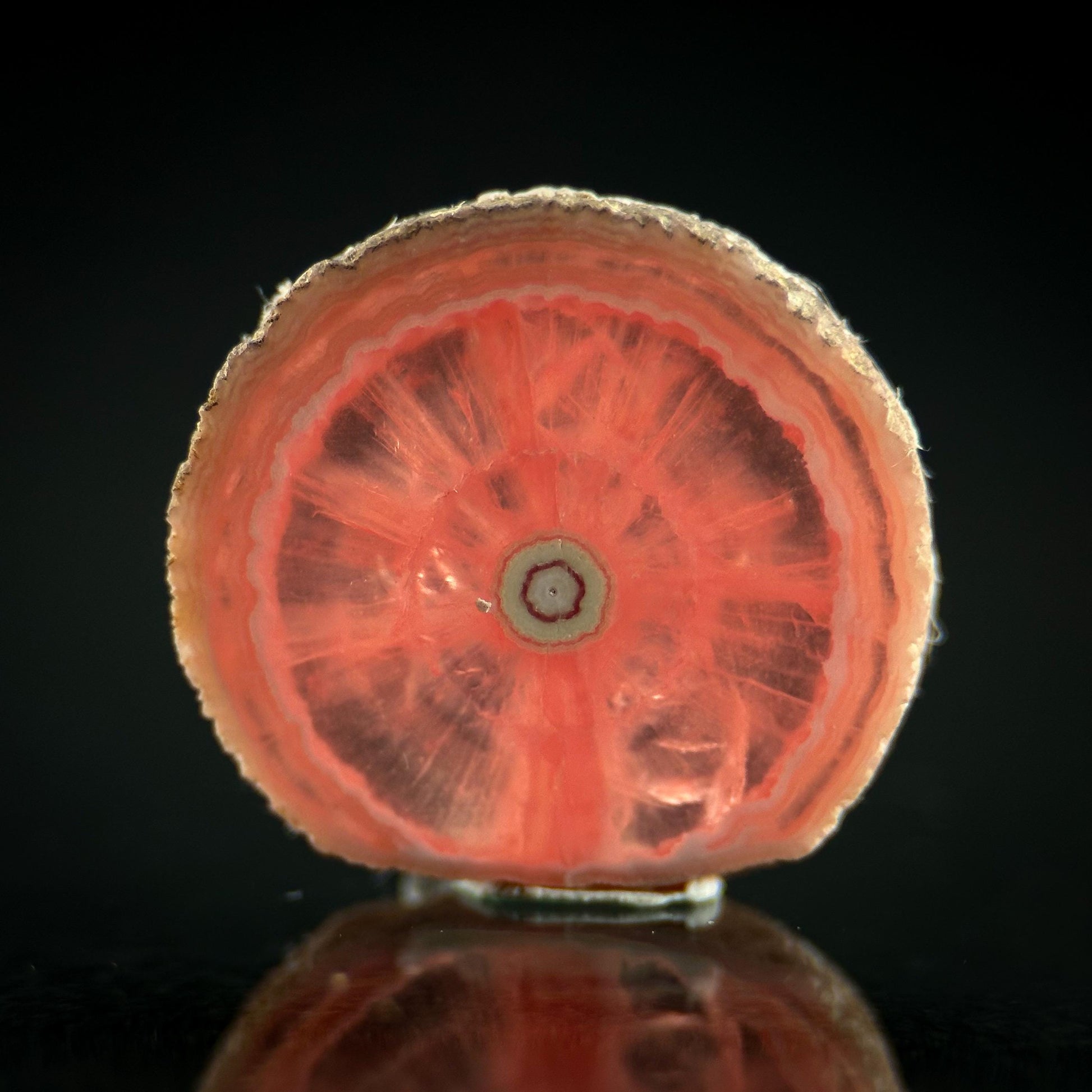 Rhodochrosite Slice | natural rhodochrosite crystal, rare mineral specimen from Argentina