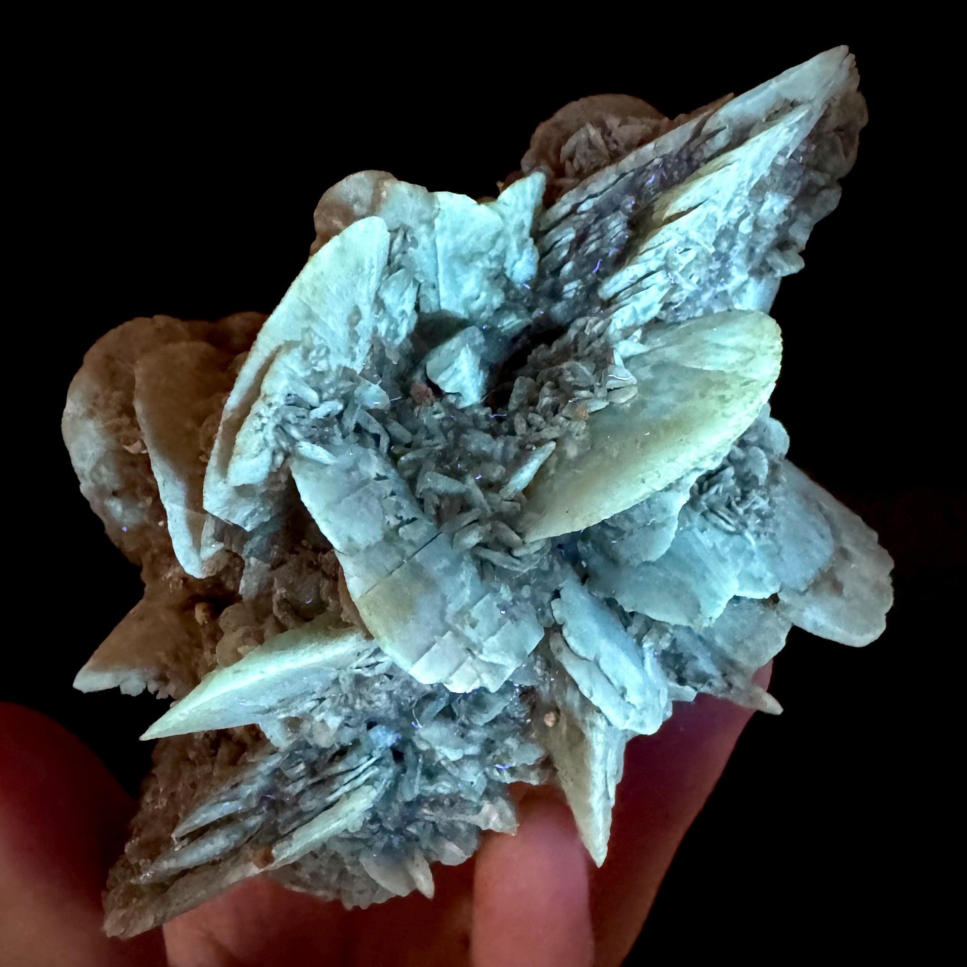 Golden Selenite Rosette | Phosphorescent UV Reactive Gypsum Crystal from Canada