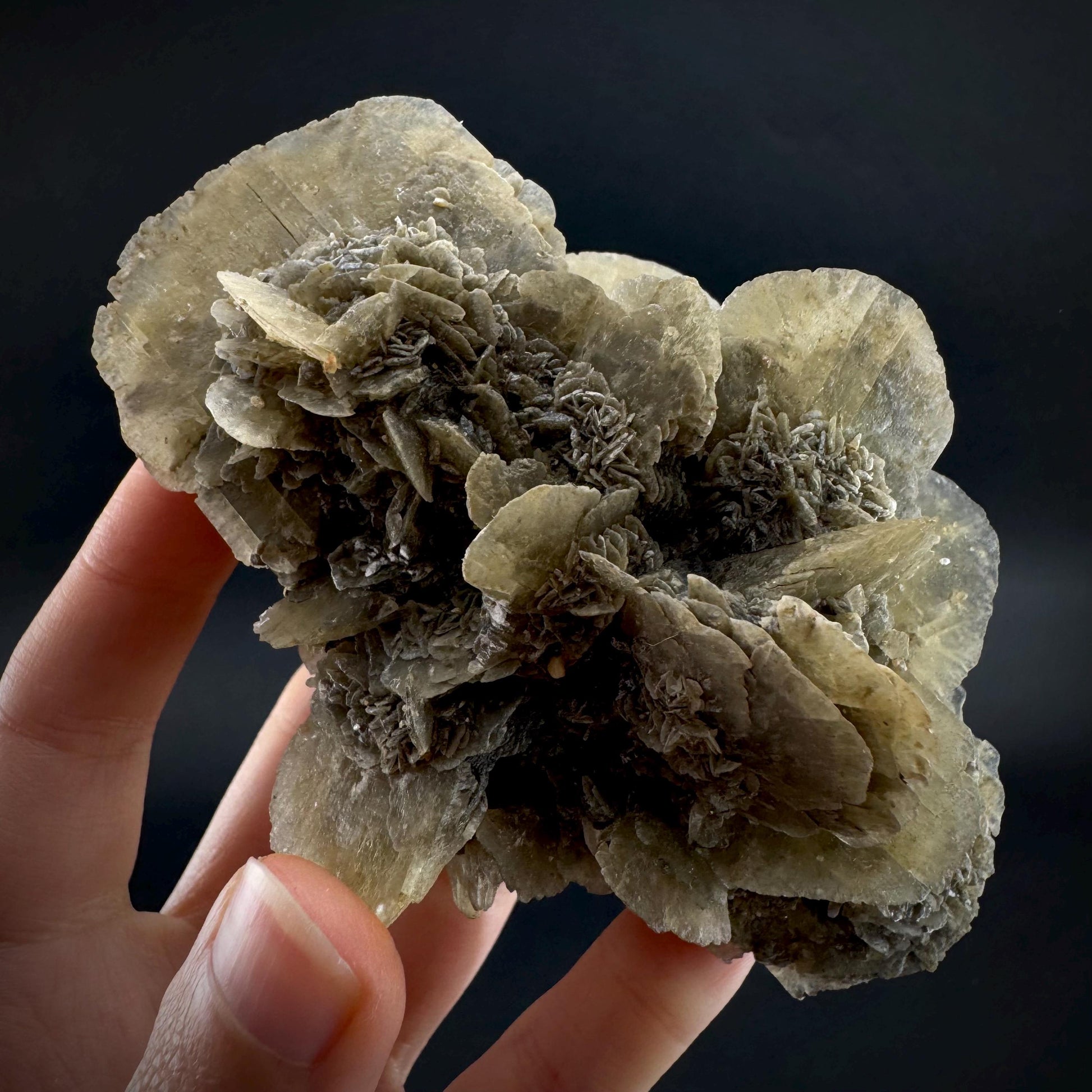 Golden Selenite Rosette | Phosphorescent UV Reactive Gypsum Crystal from Canada