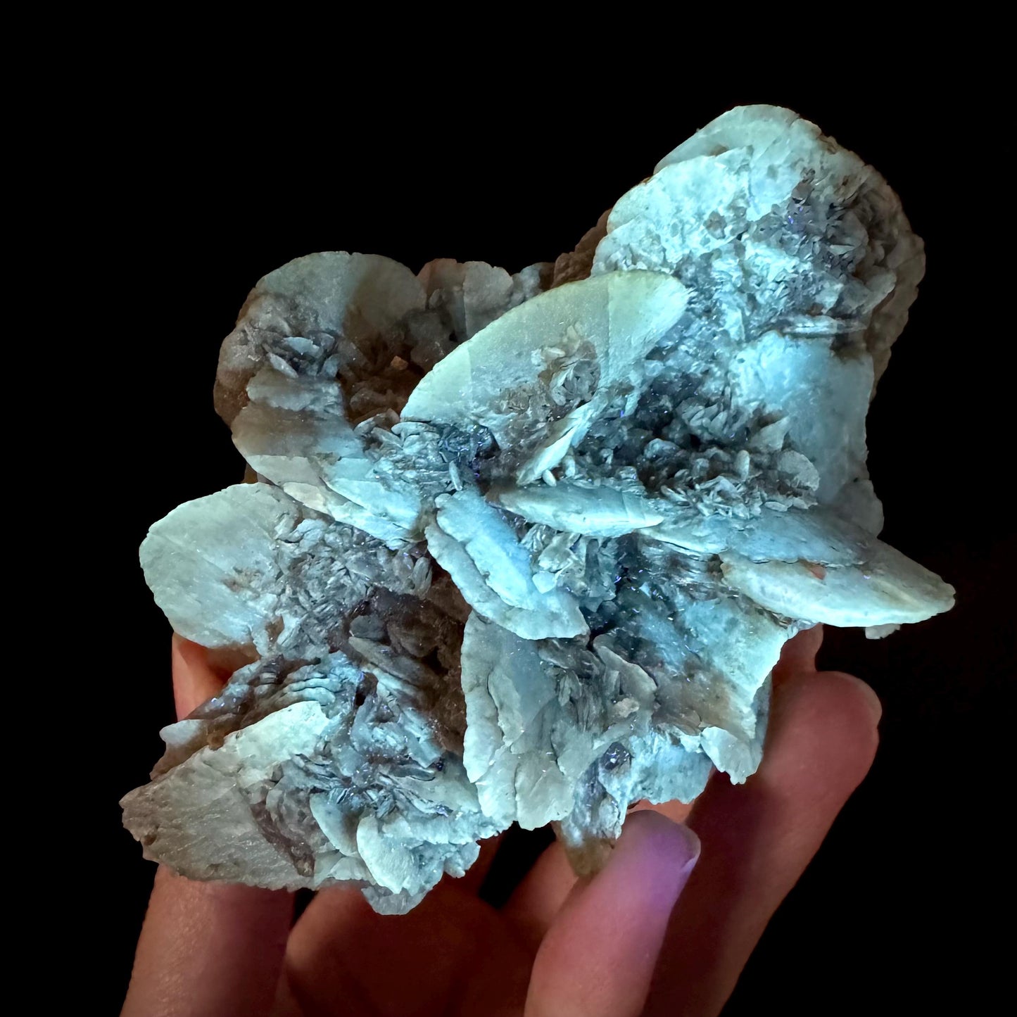 Golden Selenite Rosette | Phosphorescent UV Reactive Gypsum Crystal from Canada