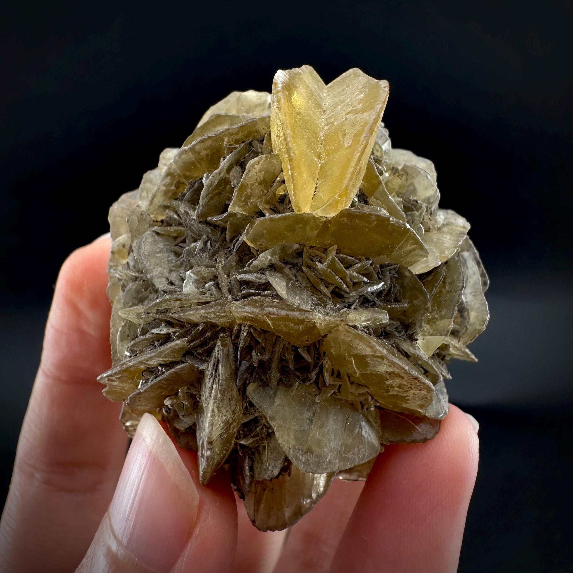 Golden Selenite Rosette | Phosphorescent UV Reactive Gypsum Crystal from Canada