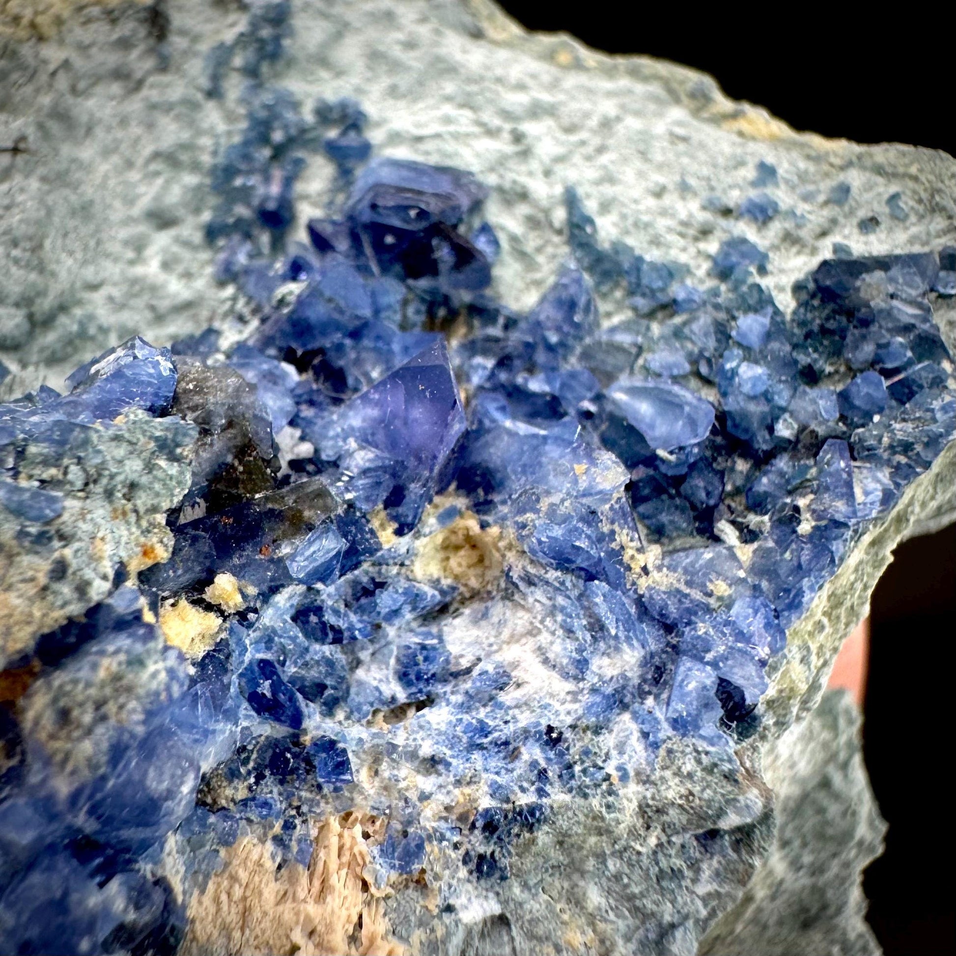 Benitoite on Matrix (California, USA) | UV reactive benitoite crystal, rare mineral specimen
