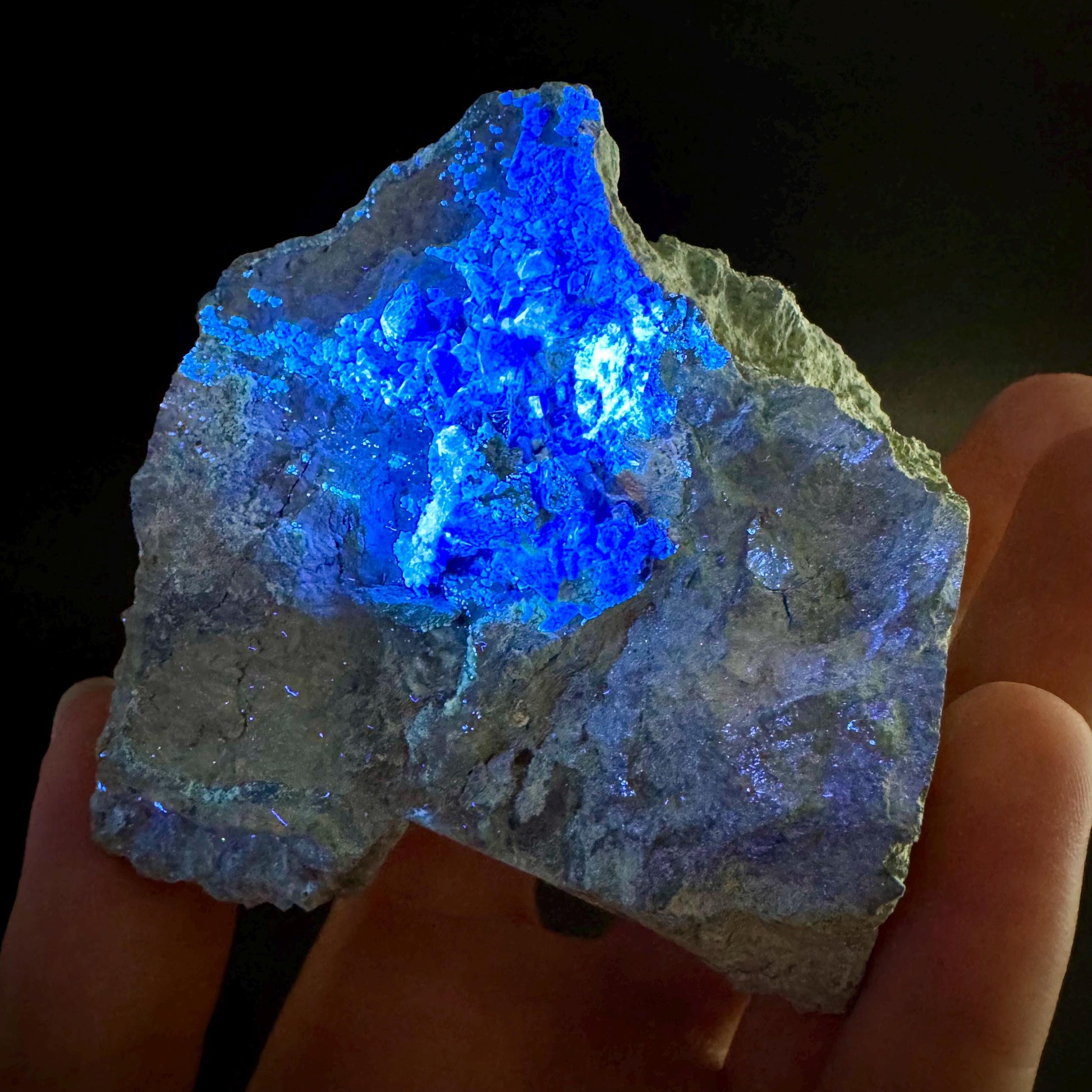 Benitoite on Matrix (California, USA) | UV reactive benitoite crystal, rare mineral specimen