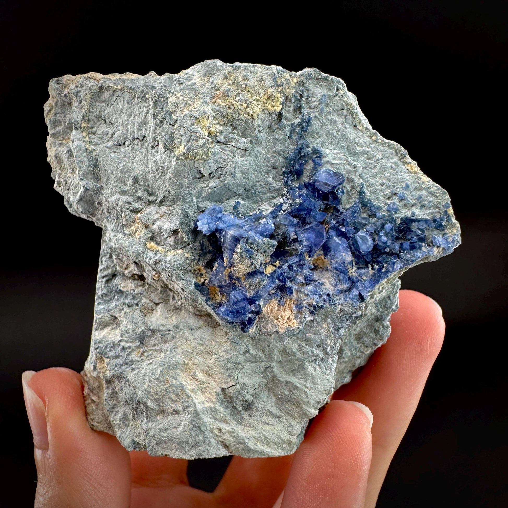 Benitoite on Matrix (California, USA) | UV reactive benitoite crystal, rare mineral specimen