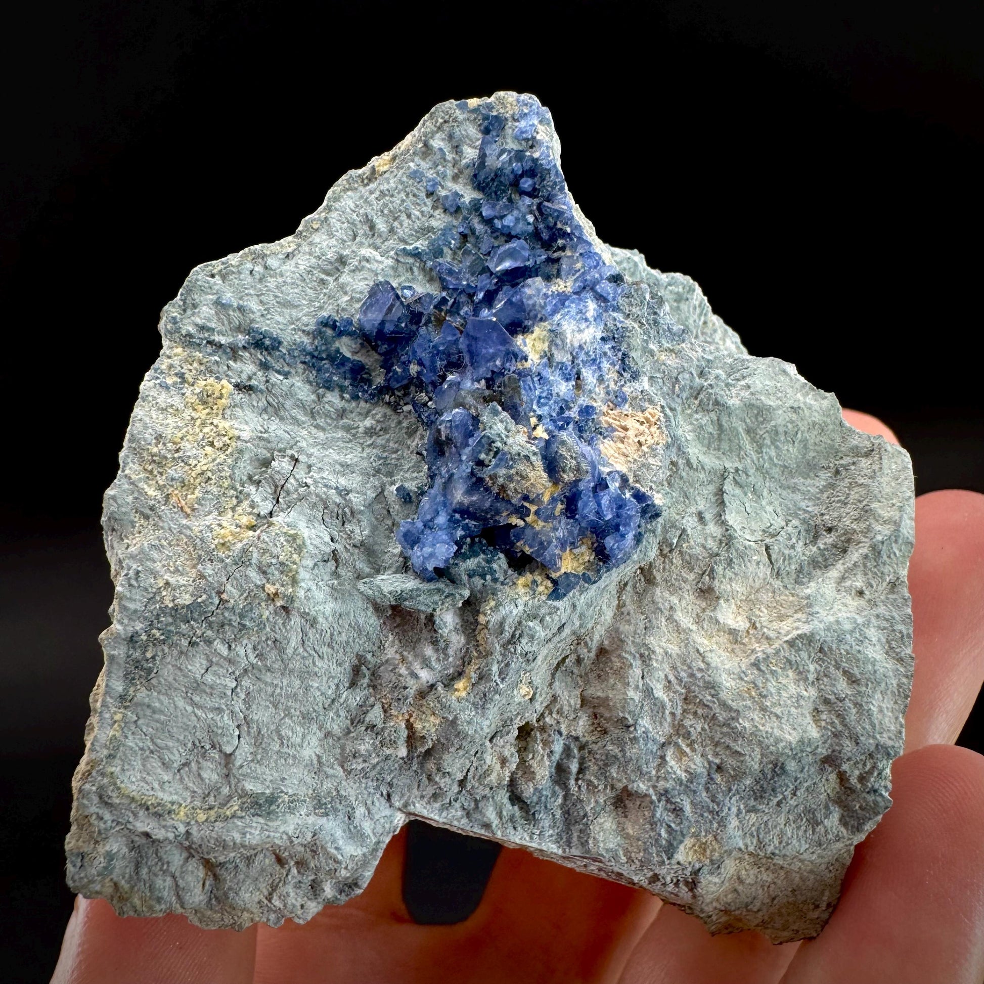 Benitoite on Matrix (California, USA) | UV reactive benitoite crystal, rare mineral specimen