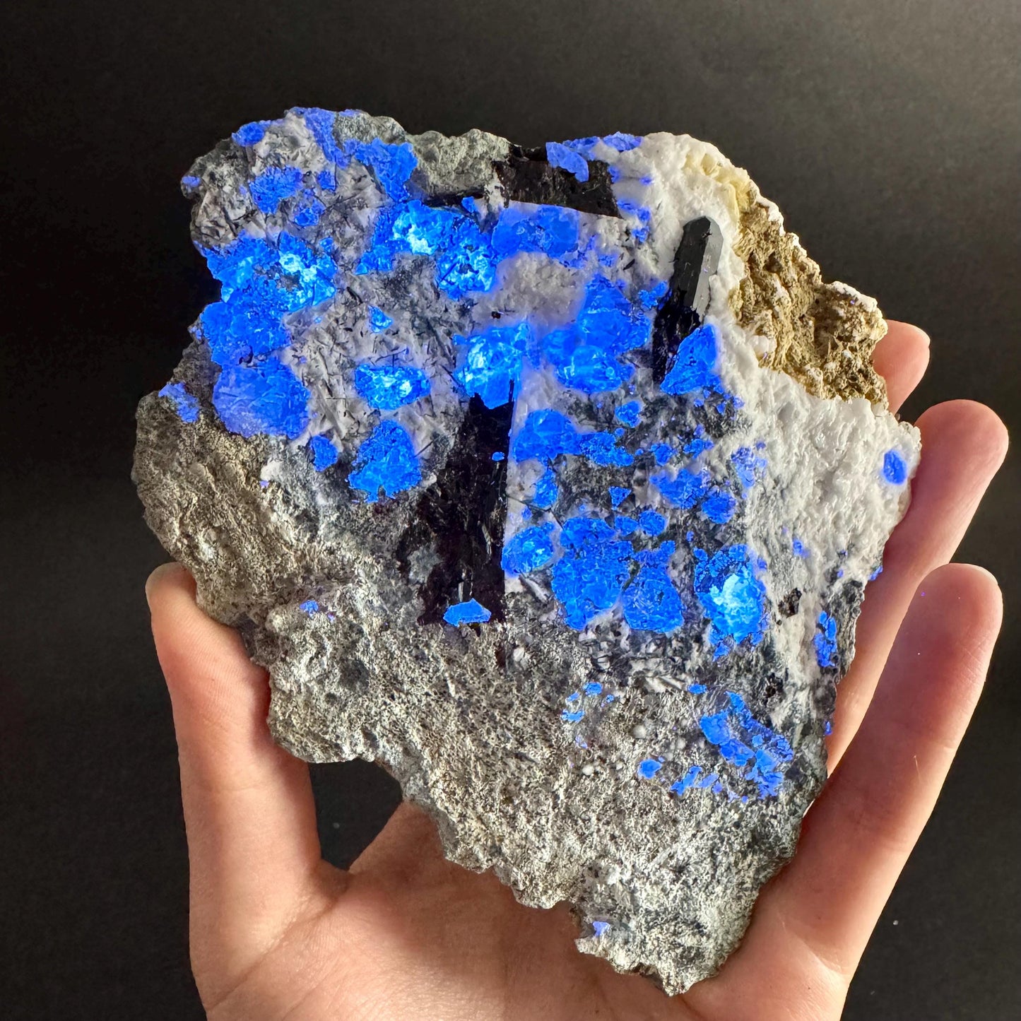 Benitoite with Joaquinite & Neptunite (California, USA) | UV reactive benitoite crystal, rare mineral specimen