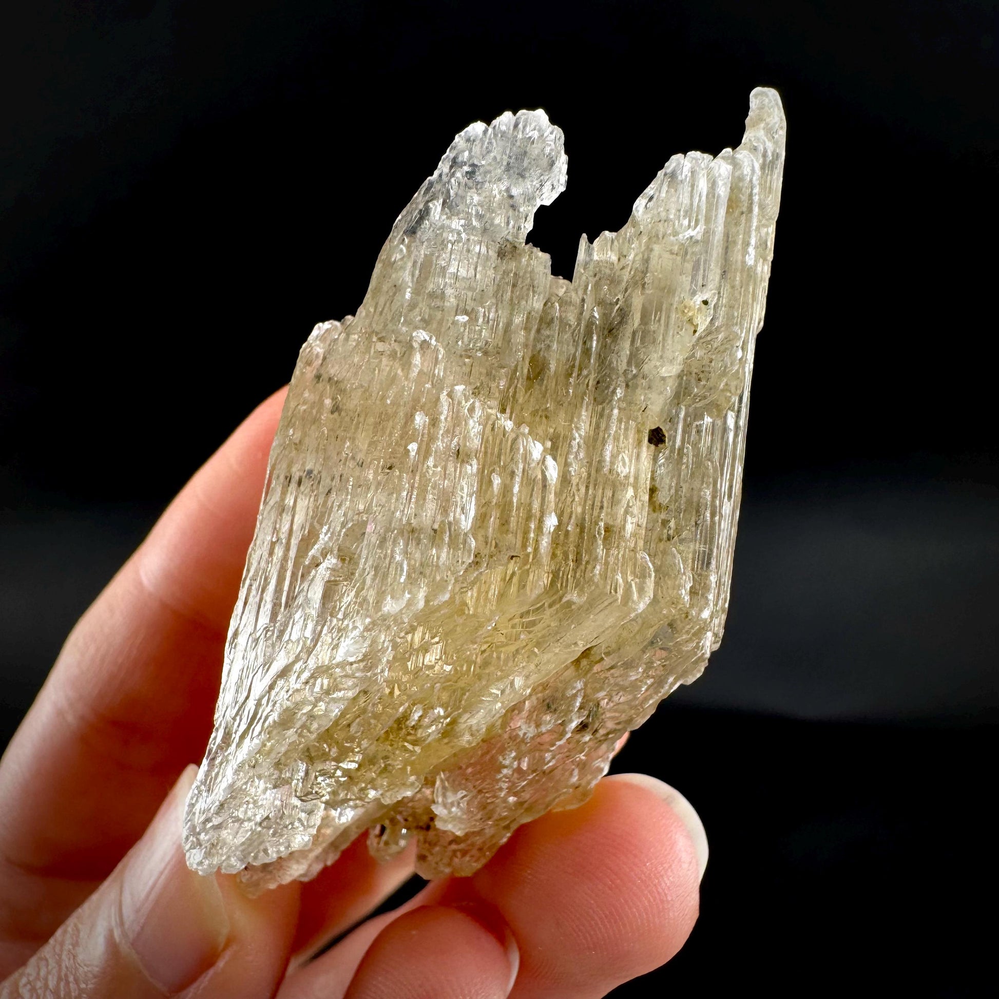 Hourglass Selenite | Phosphorescent UV Reactive Gypsum Crystal from Canada