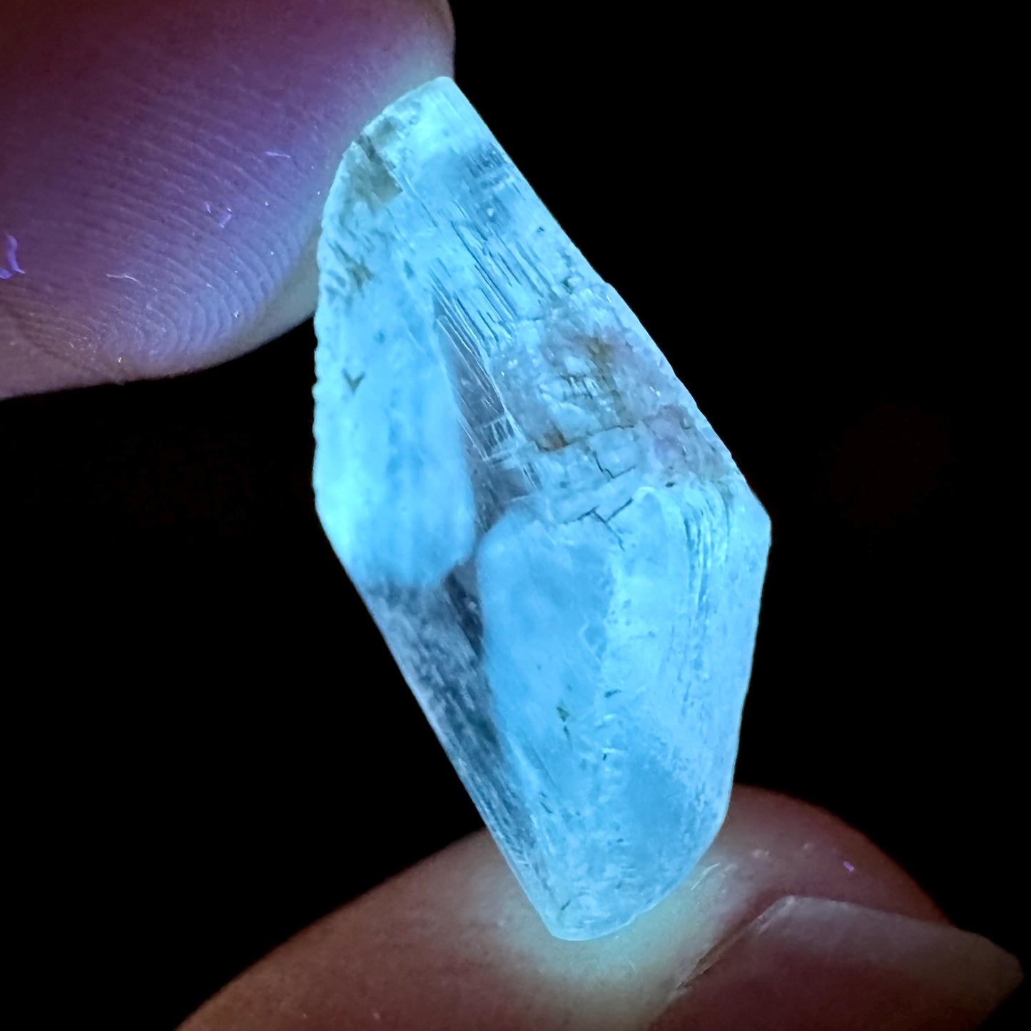 Hourglass Selenite | Phosphorescent UV Reactive Gypsum Crystal from Canada
