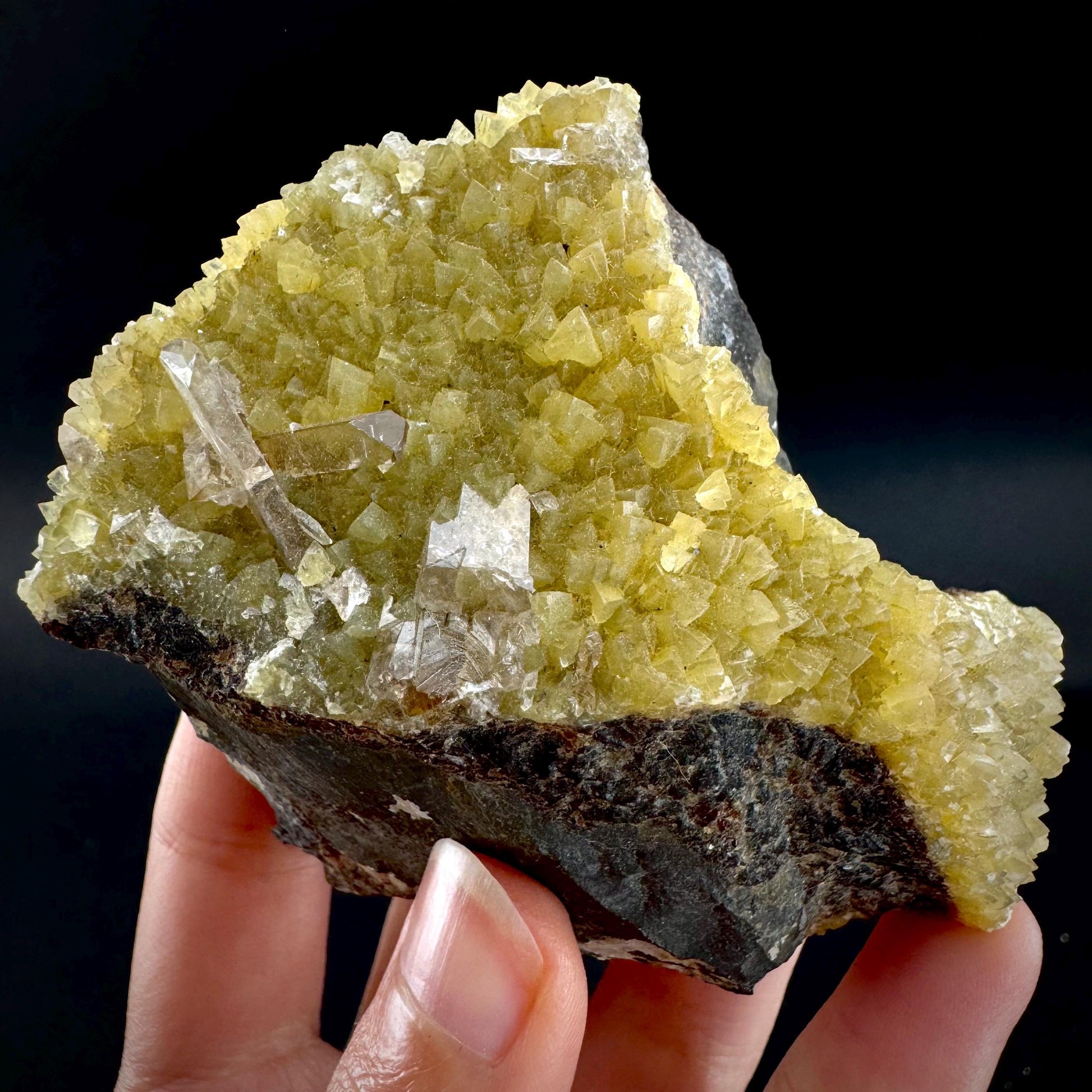 Barite on Yellow Calcite (Montana, USA) | UV reactive crystal cluster, mineral specimen