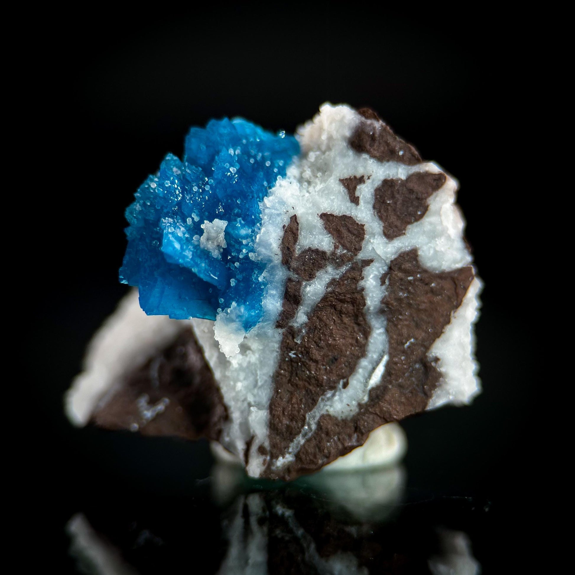 Deep Blue Cavansite on Matrix | crystal cluster, mineral specimen
