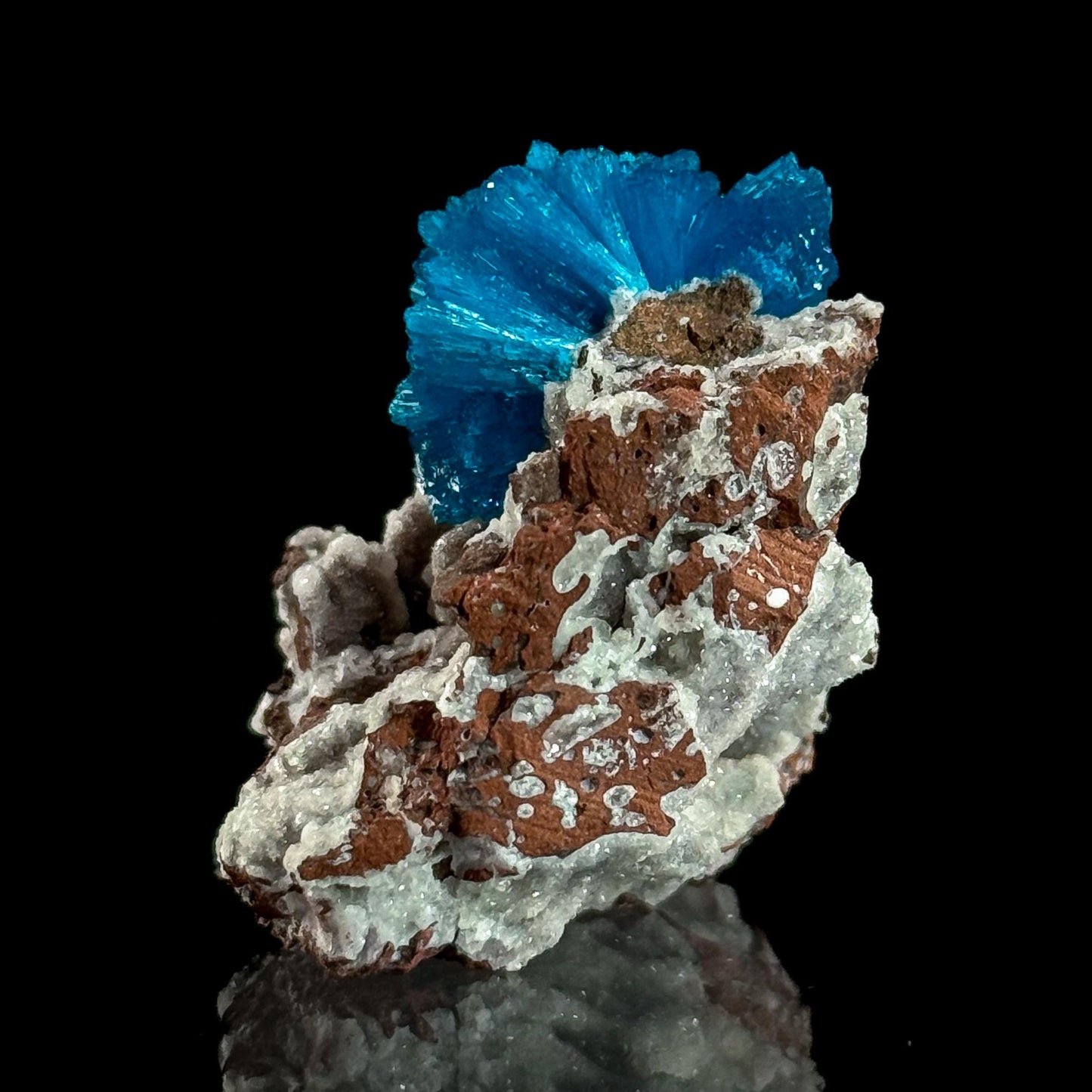 Deep Blue Cavansite on Matrix | crystal cluster, mineral specimen