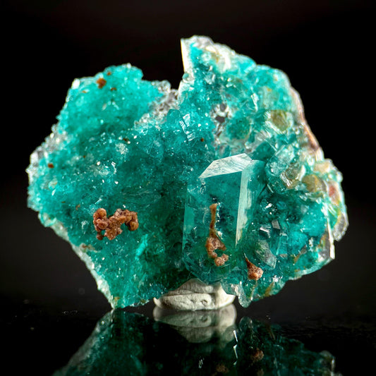 Dioptase in Quartz | green crystal cluster, rare mineral specimen from Namibia