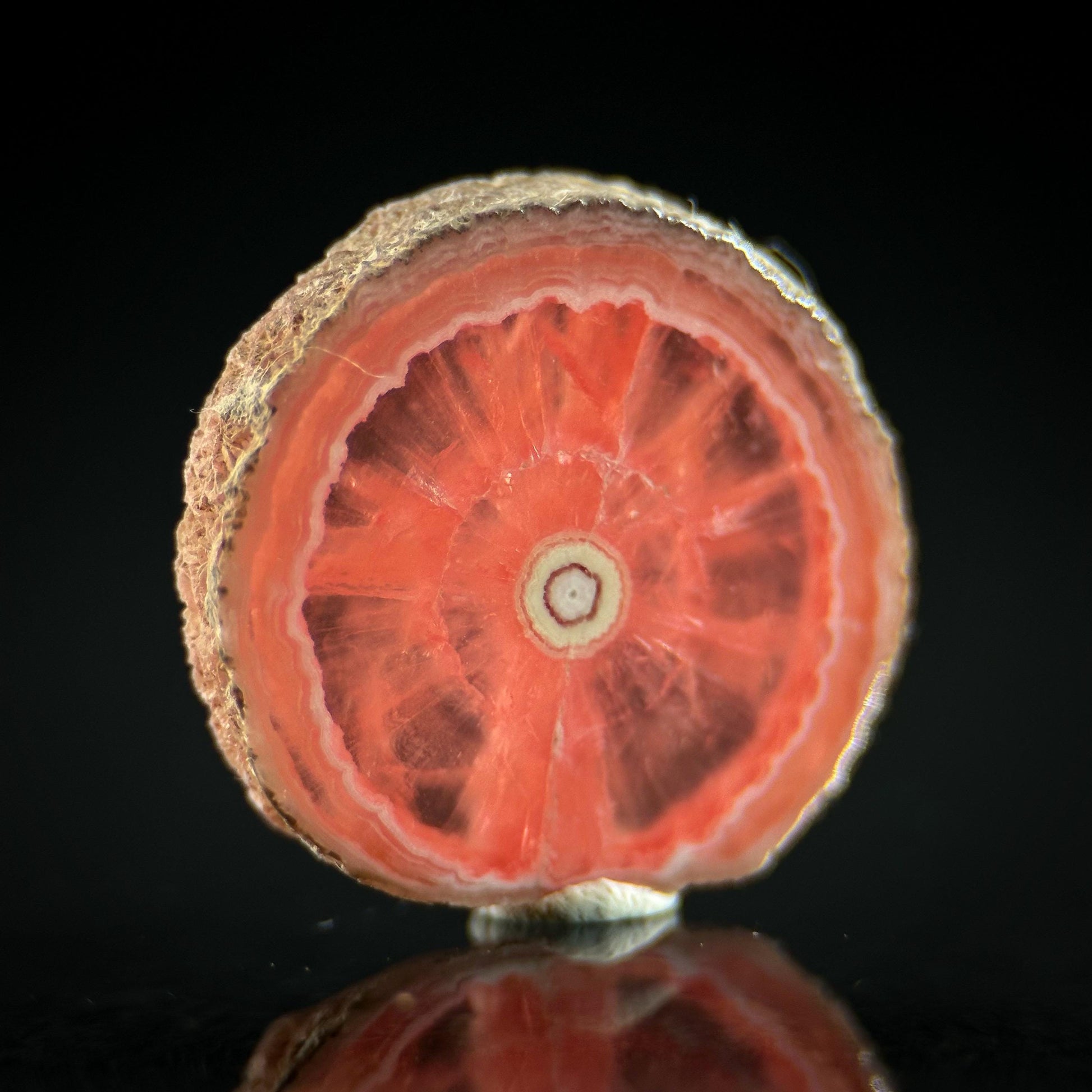 Rhodochrosite Slice | natural rhodochrosite crystal, rare mineral specimen from Argentina