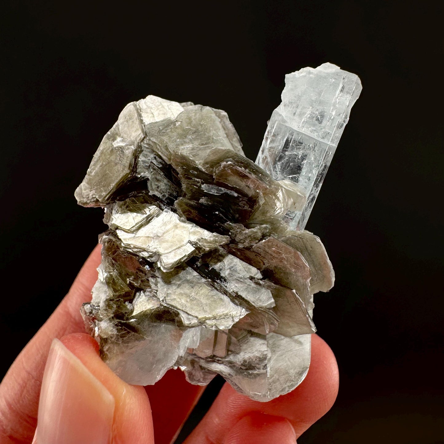 Aquamarine with Muscovite | terminated blue beryl crystal, natural mineral specimen