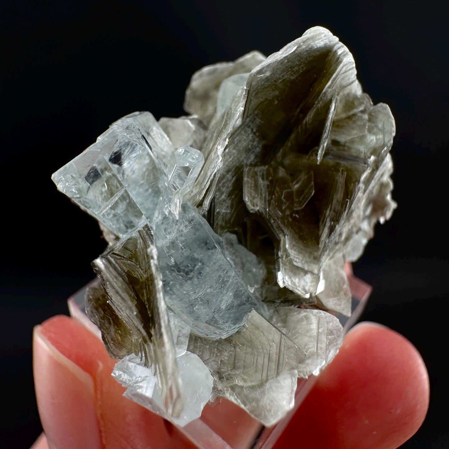 Aquamarine with Muscovite | terminated blue beryl crystal, natural mineral specimen