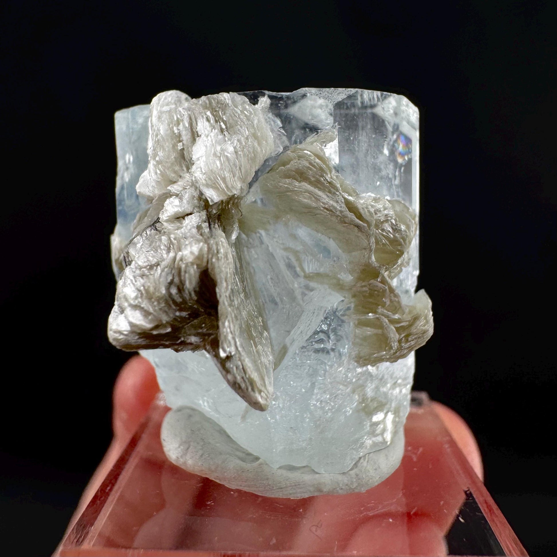 Aquamarine with Muscovite | terminated blue beryl crystal, natural mineral specimen