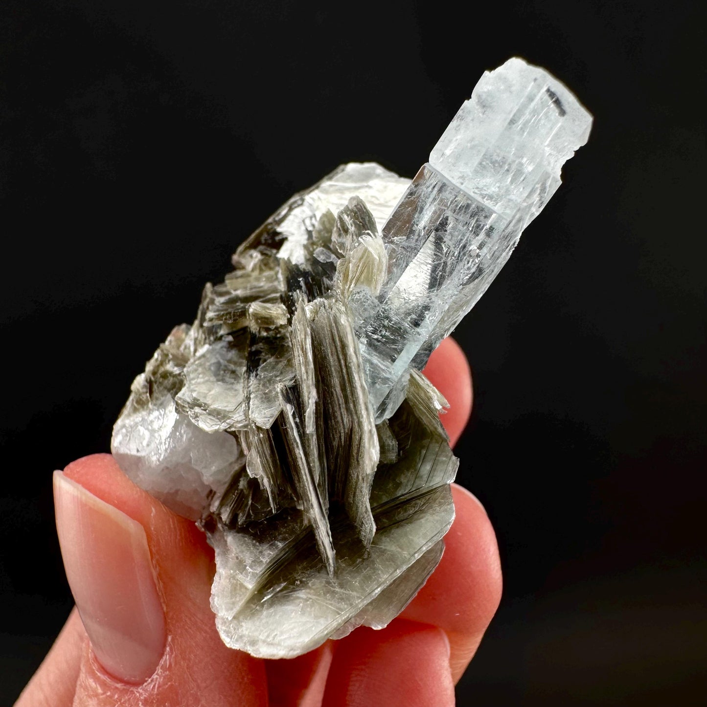 Aquamarine with Muscovite | terminated blue beryl crystal, natural mineral specimen