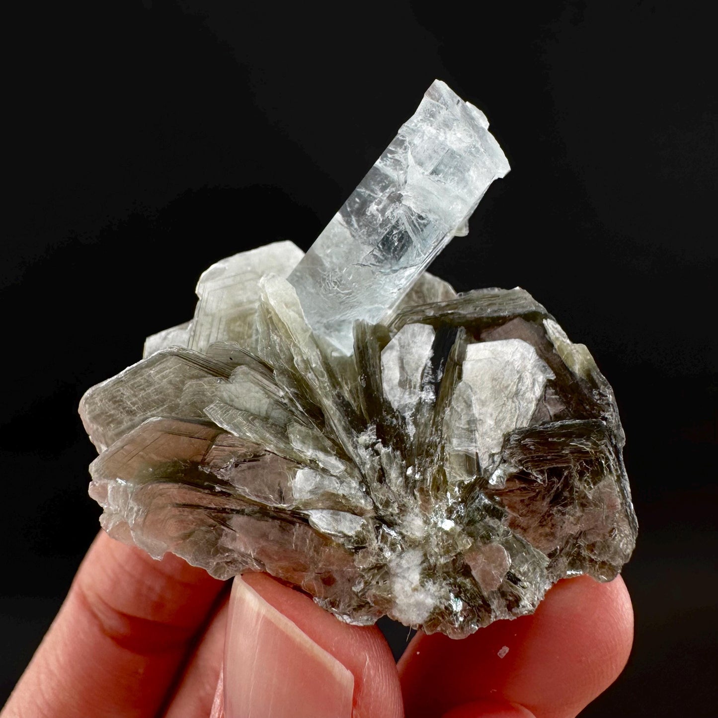 Aquamarine with Muscovite | terminated blue beryl crystal, natural mineral specimen